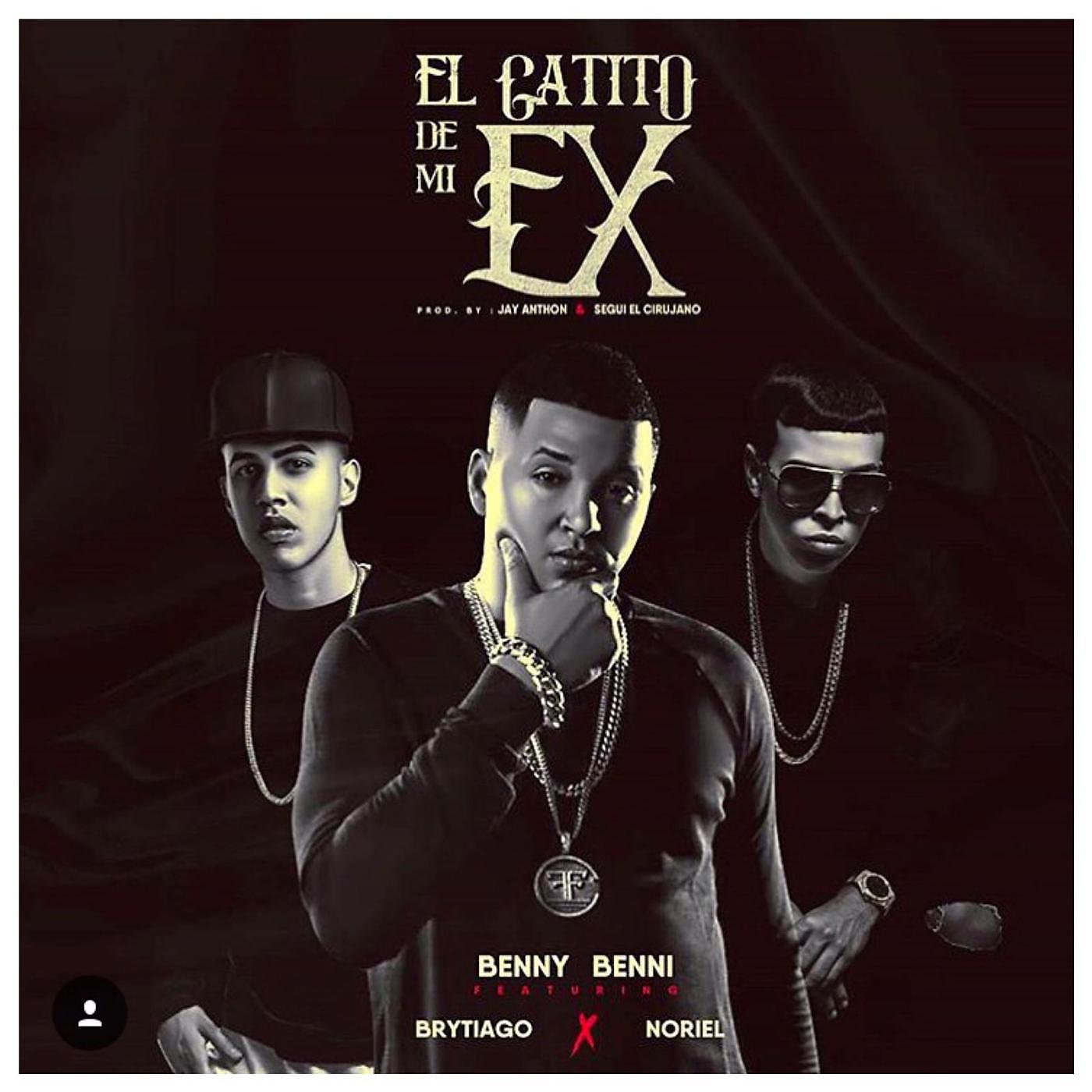 Постер альбома El Gatito De Mi Ex (feat. Brytiago & Noriel)