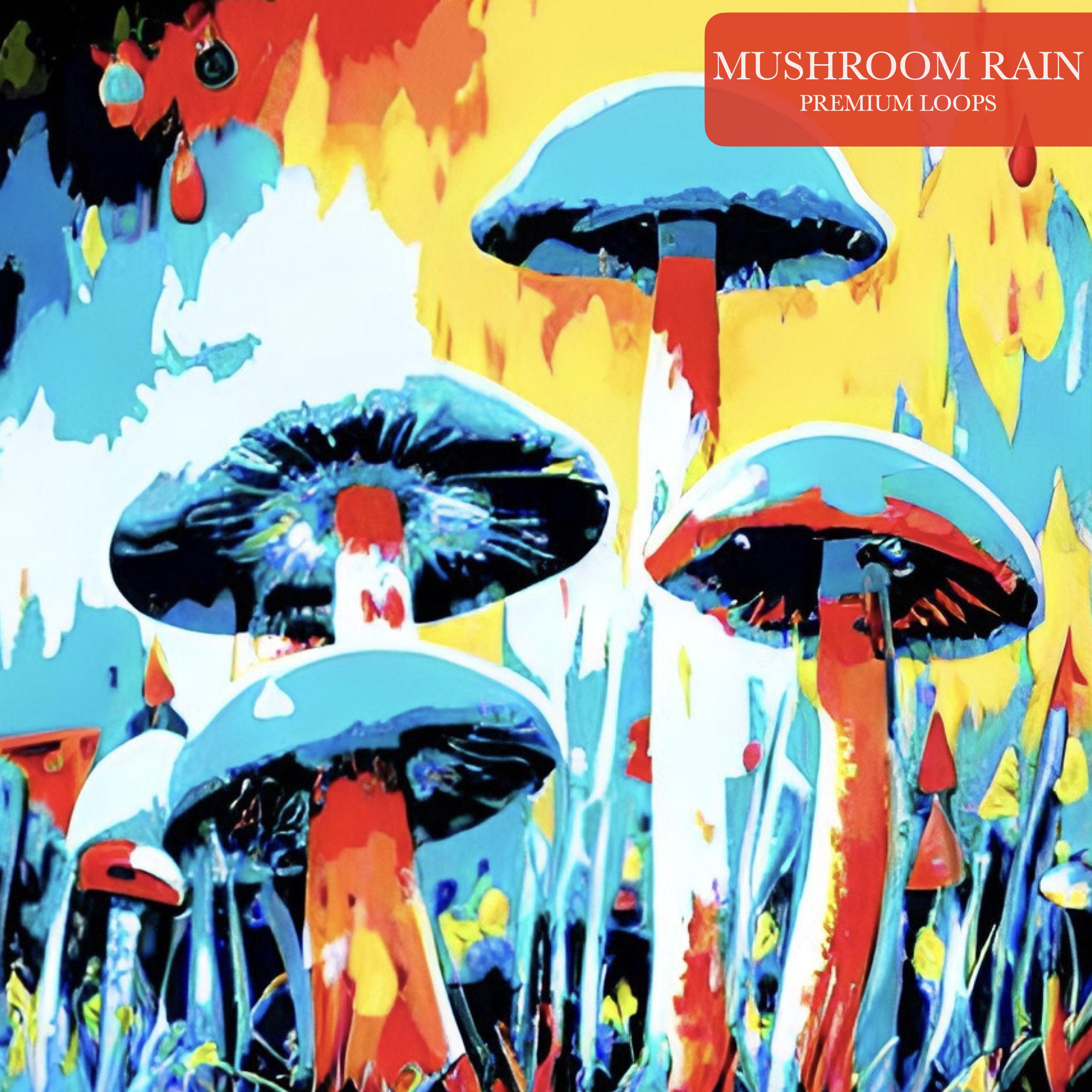 Постер альбома Mushroom Rain