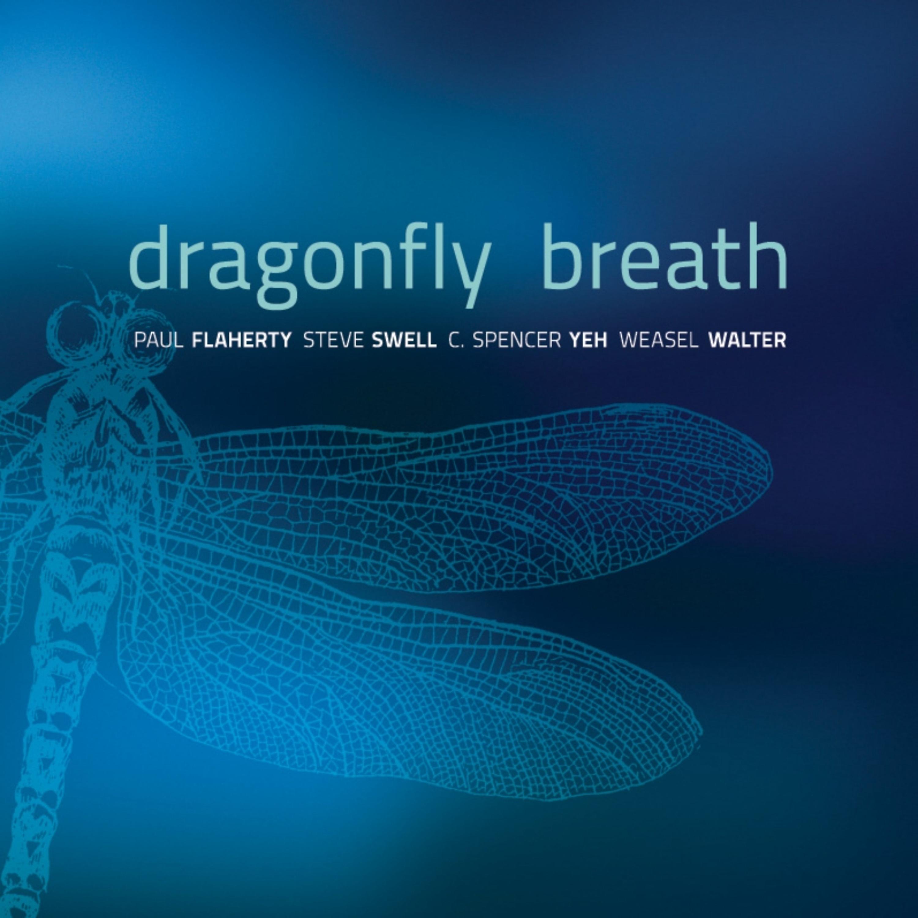 Постер альбома Dragonfly Breath