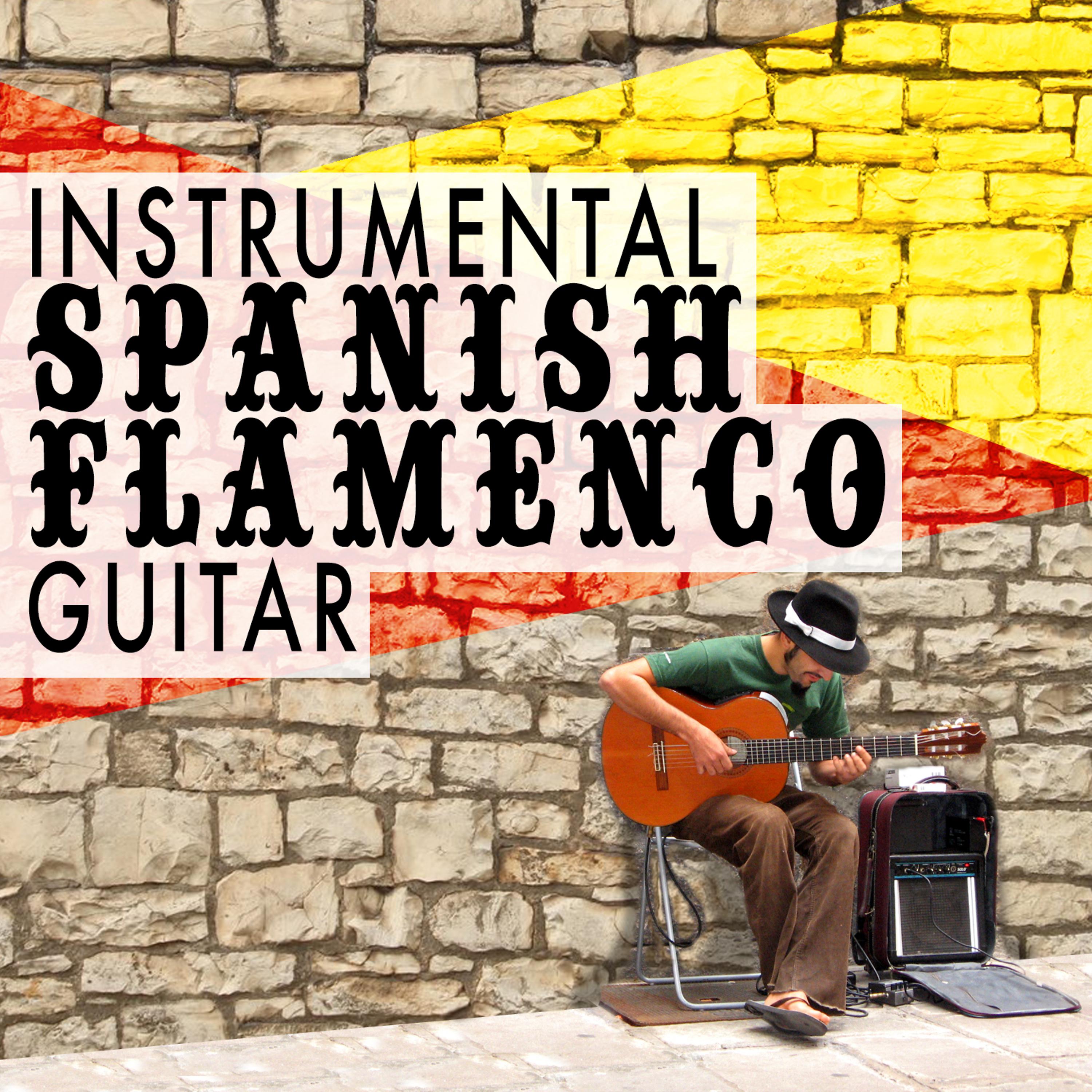 Постер альбома Instrumental Spanish Flamenco Guitar