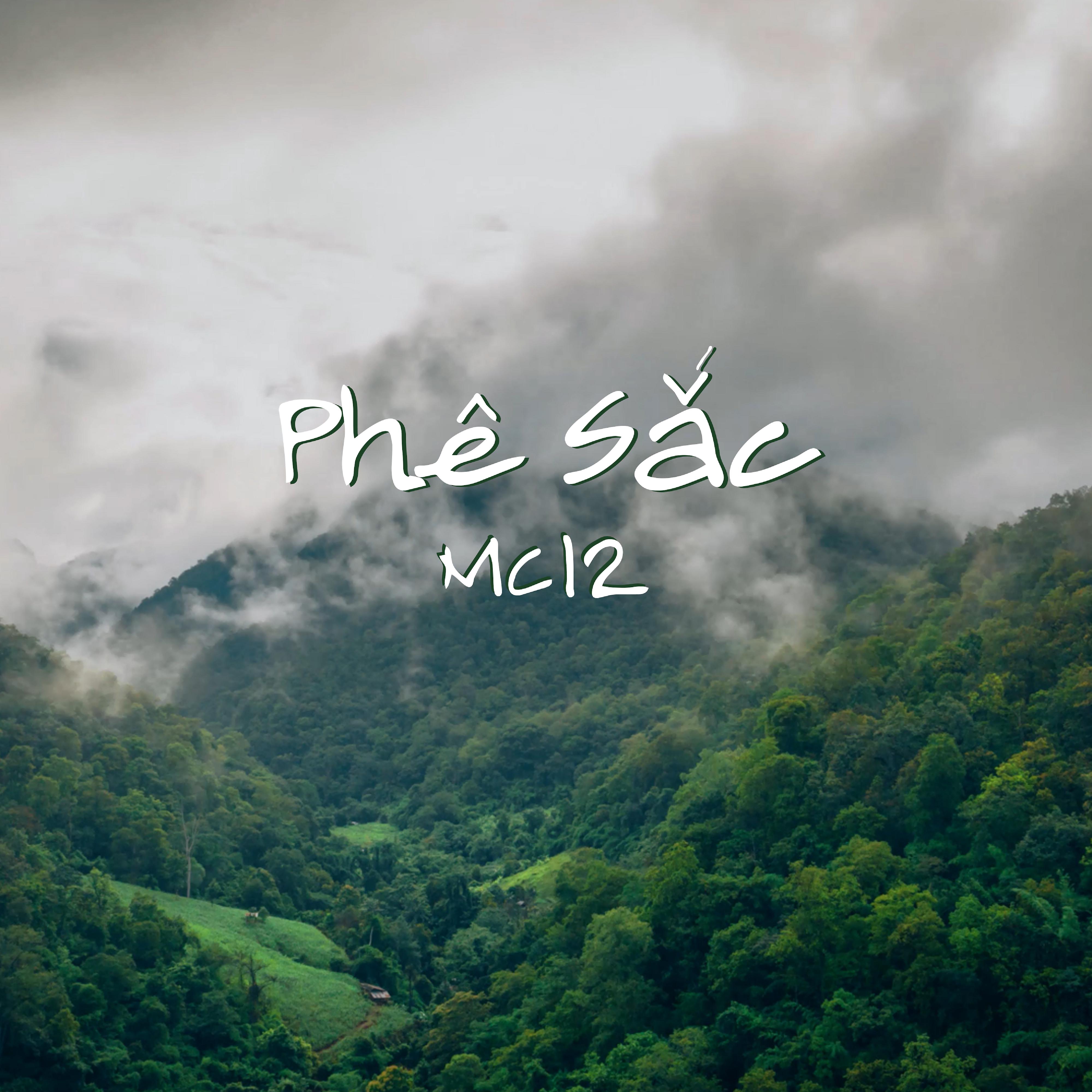 Постер альбома Phê Sắc