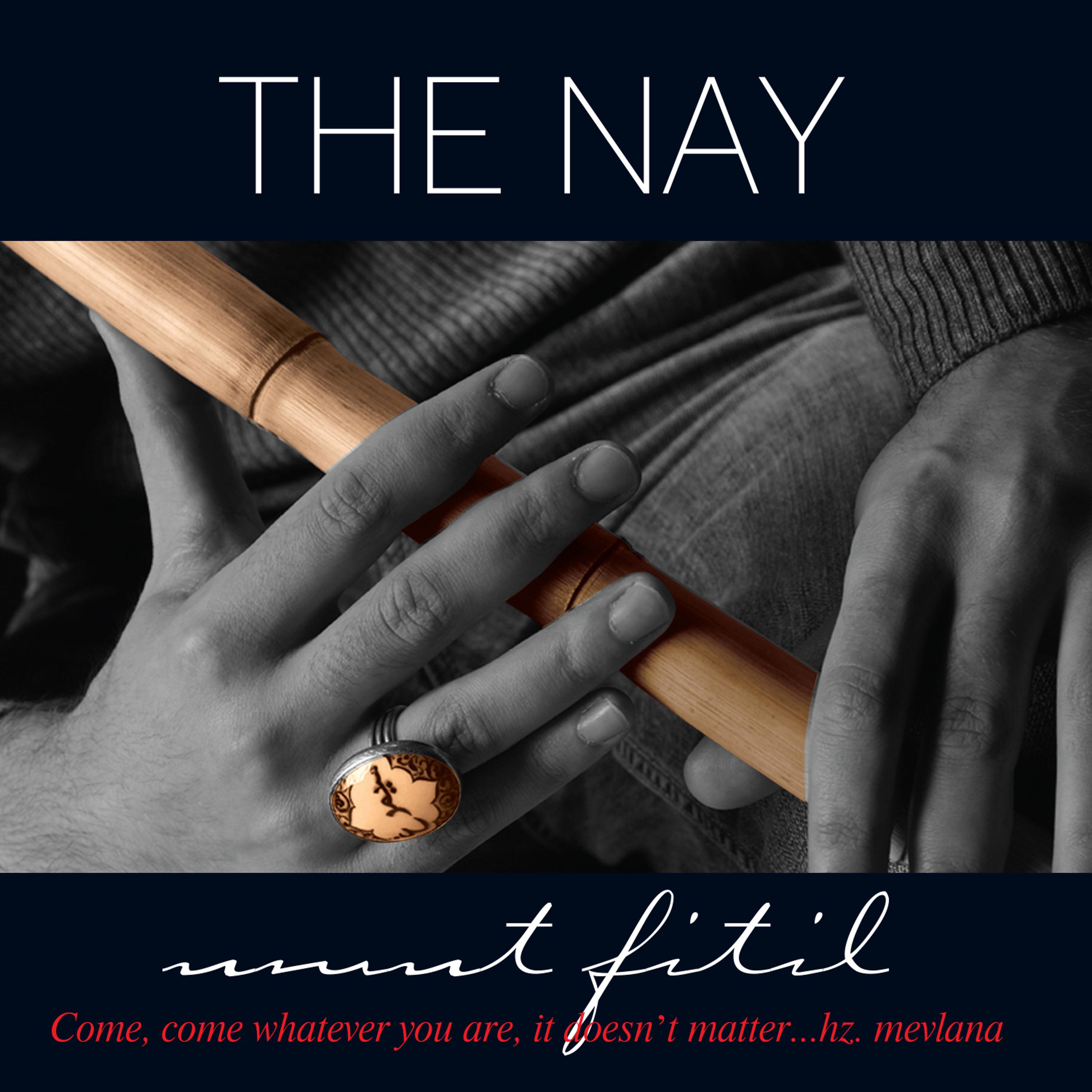 Постер альбома The Nay