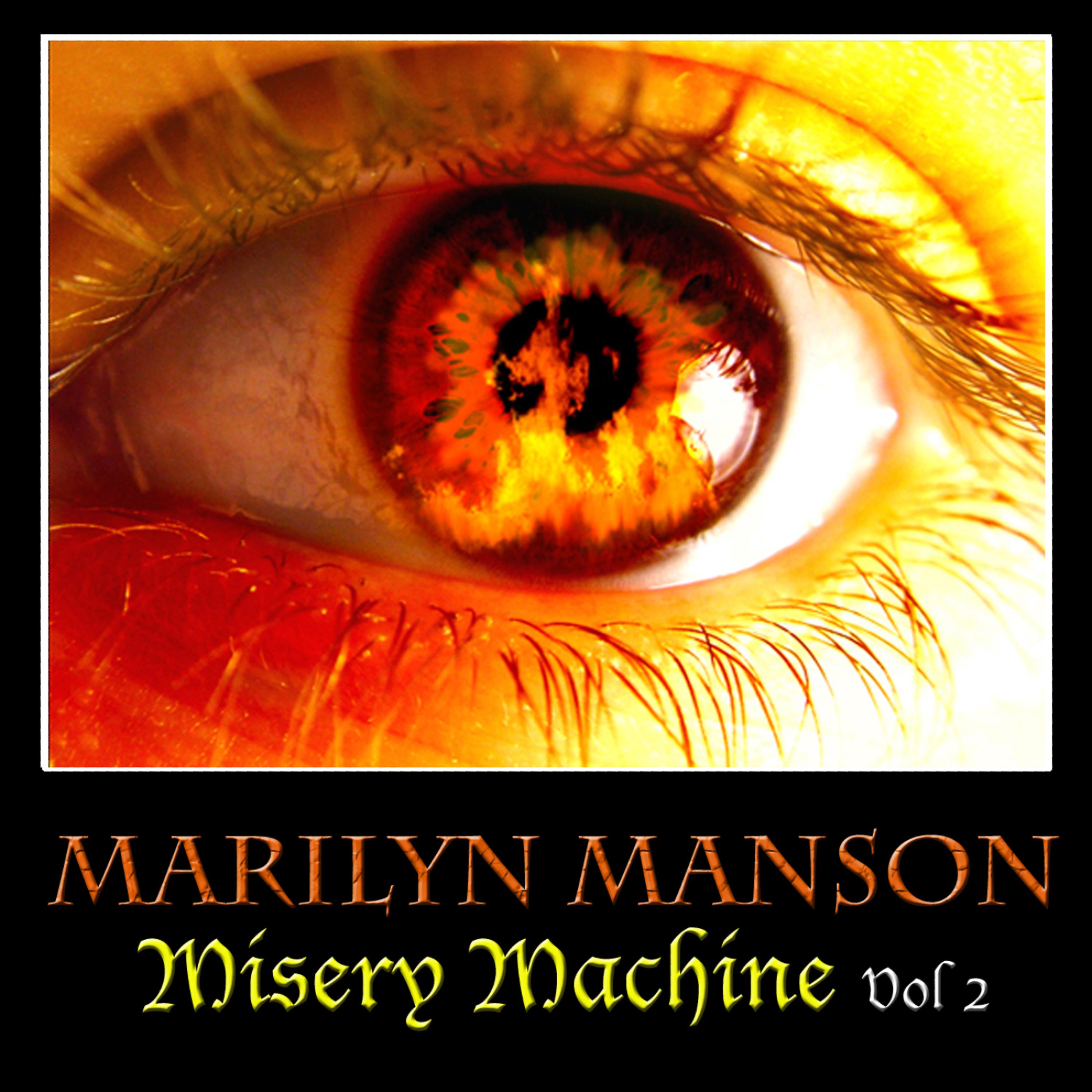 Постер альбома Misery Machine Vol. 2