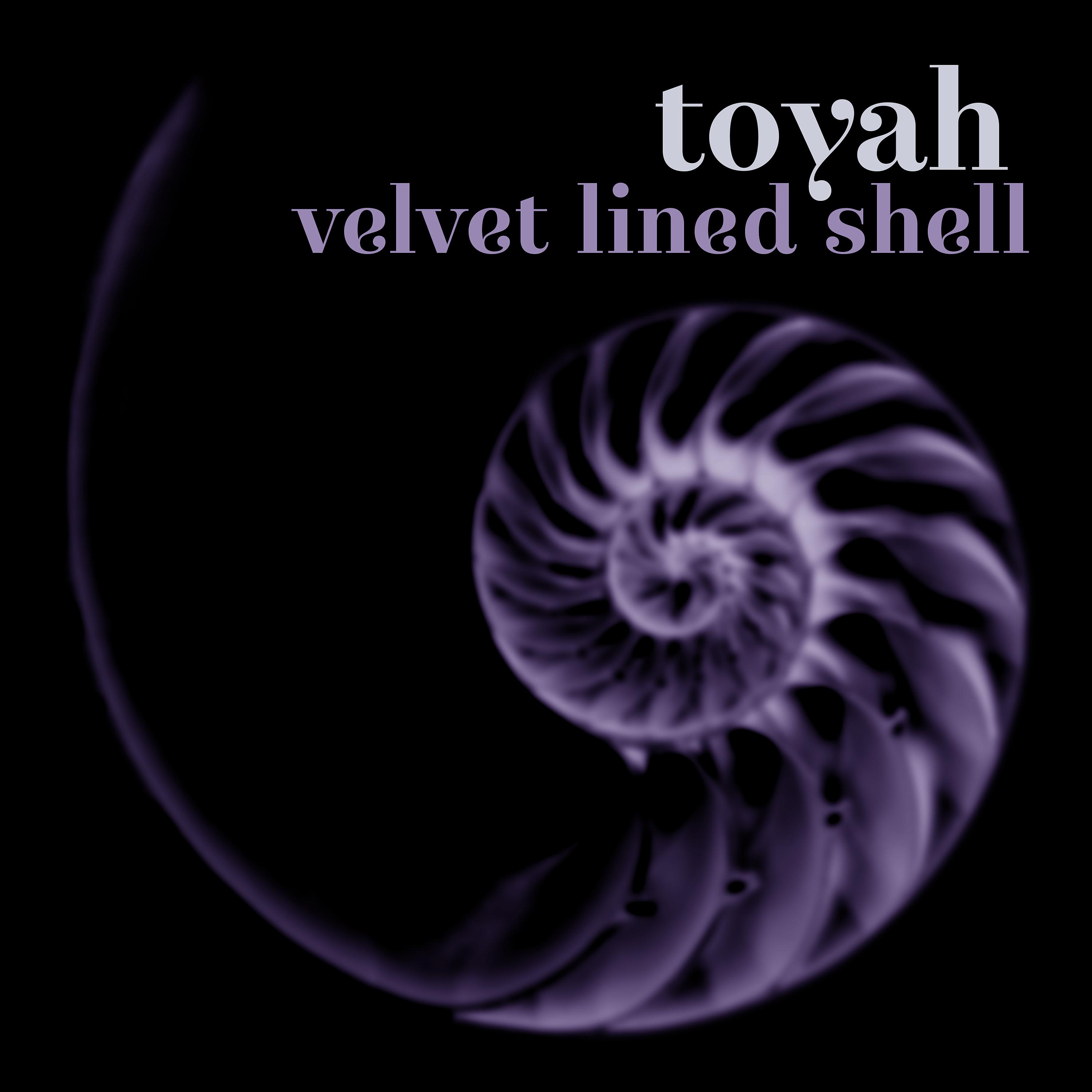 Постер альбома Velvet Lined Shell (Deluxe Edition)