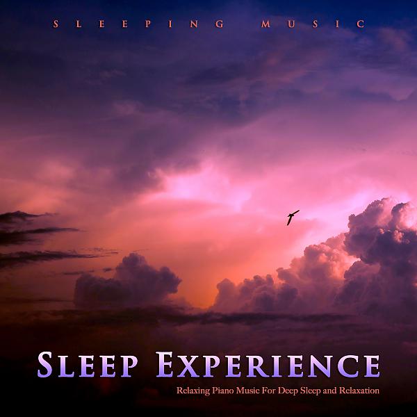 Постер альбома Sleep Experience: Relaxing Piano Music For Deep Sleep and Relaxation