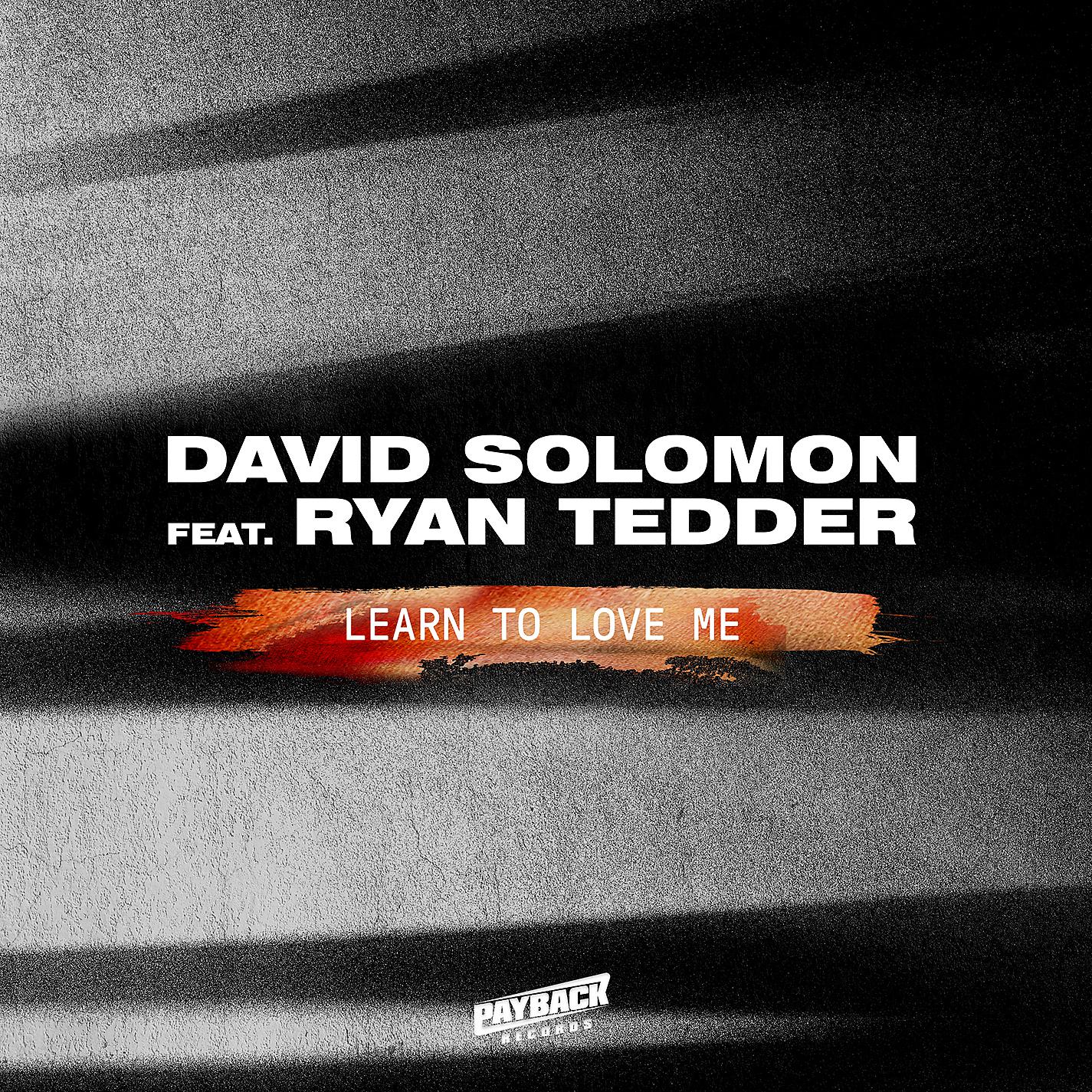 Постер альбома Learn To Love Me (feat. Ryan Tedder)