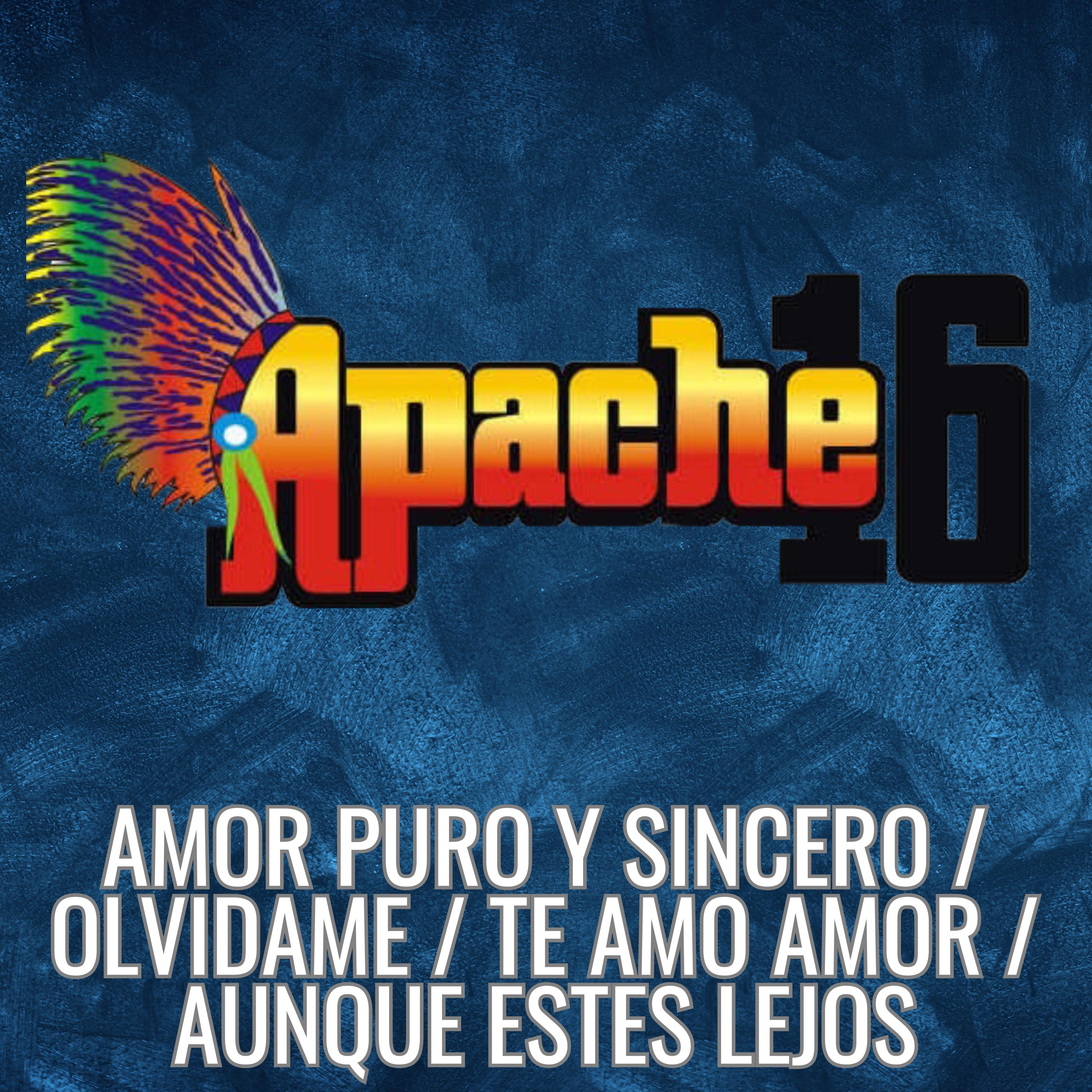 Постер альбома Amor Puro y Sincero / Olvidame / Te Amo Amor / Aunque Estes Lejos