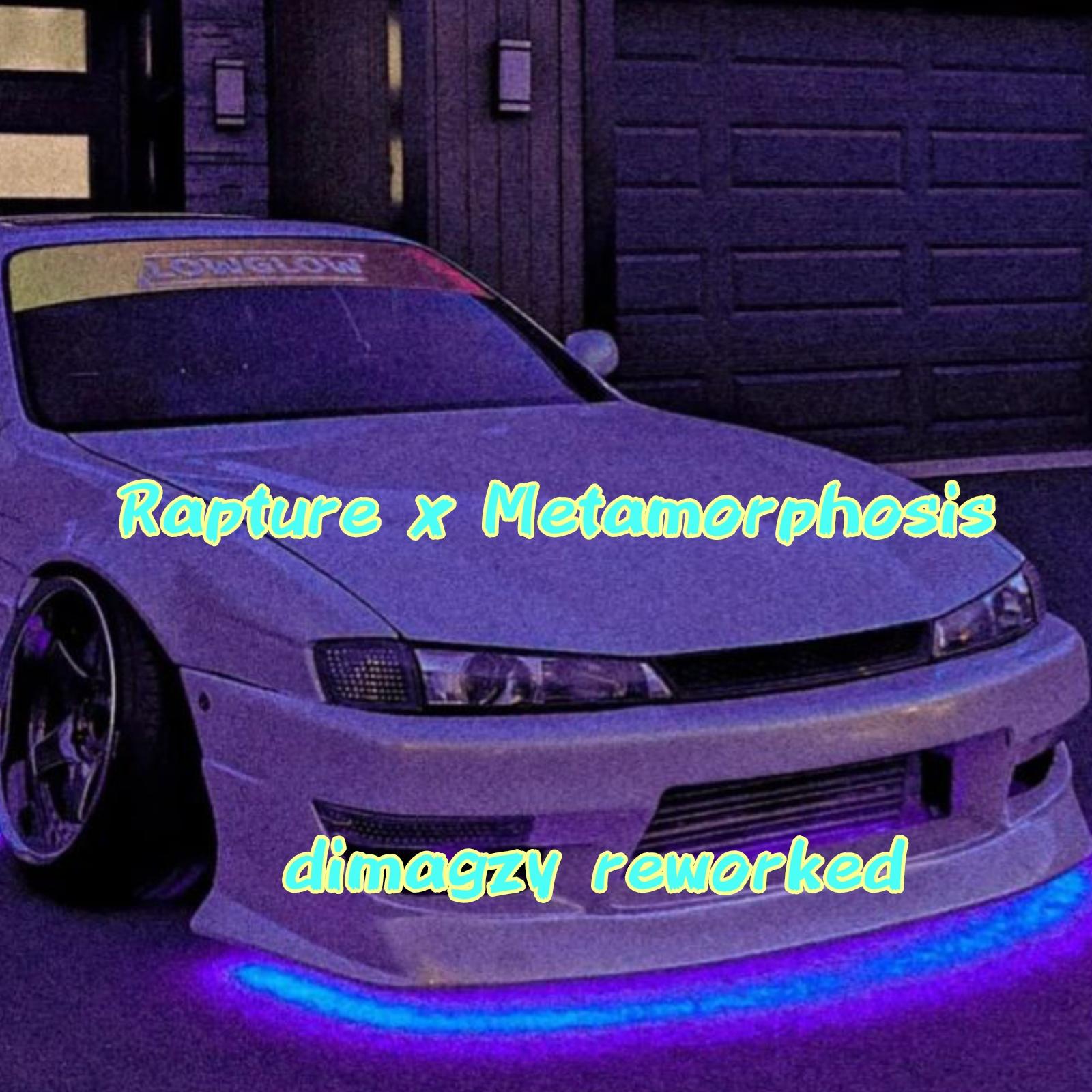 Постер альбома Rapture and Metamorphosis (Dimagzy Reworked)