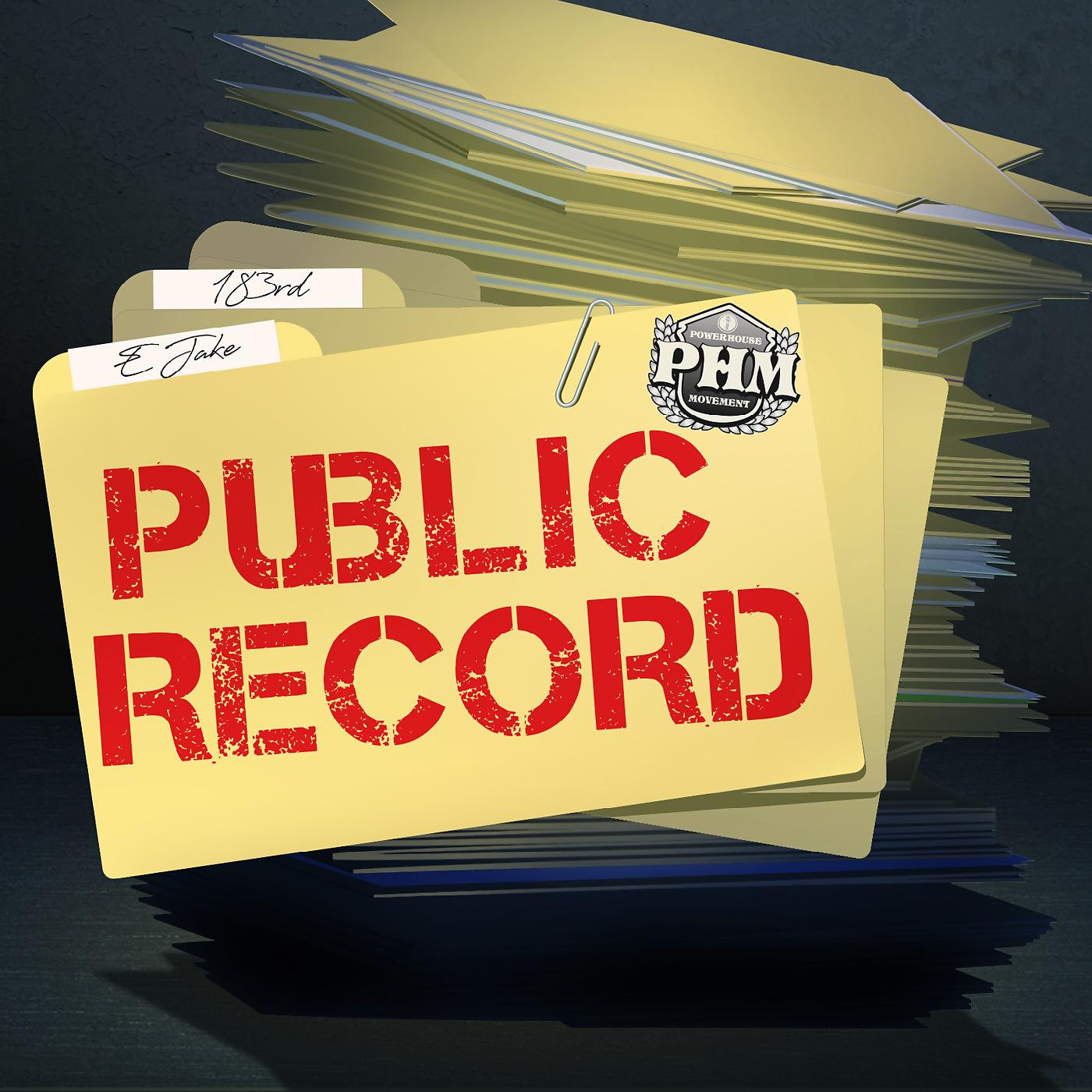Постер альбома Public Record