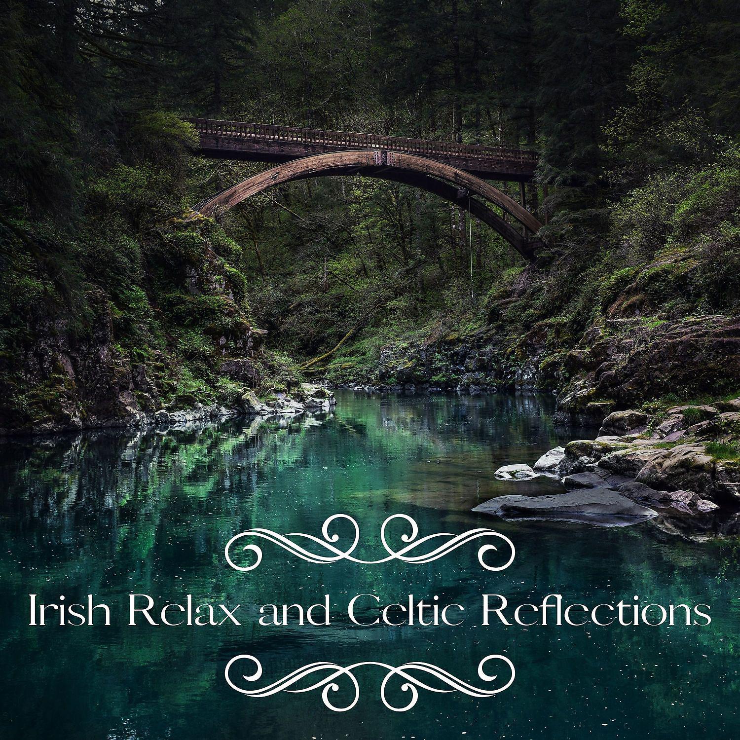 Постер альбома Irish Relax and Celtic Reflections