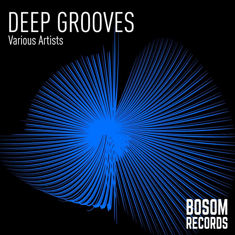 Постер альбома Deep Grooves