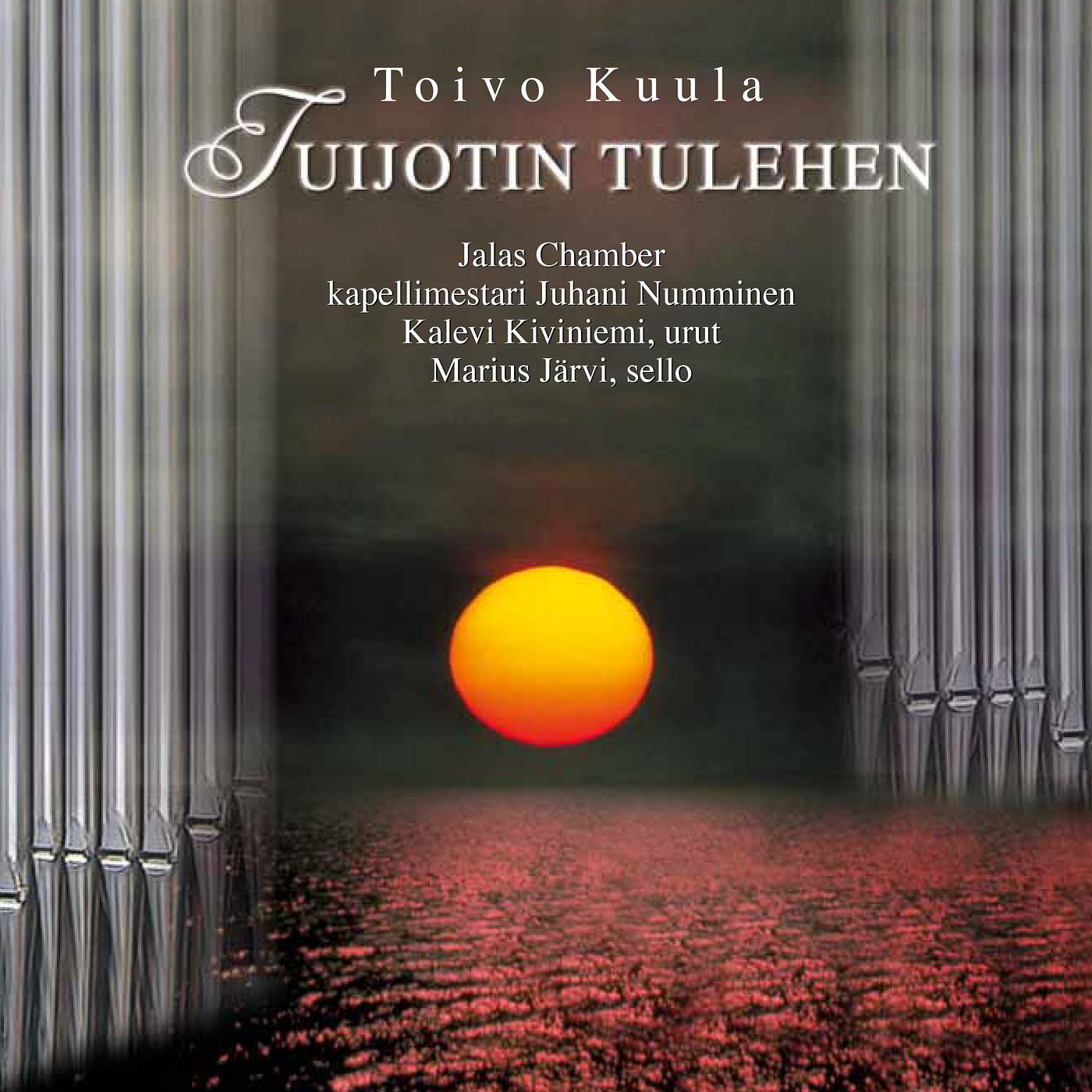 Постер альбома Tuijotin Tulehen