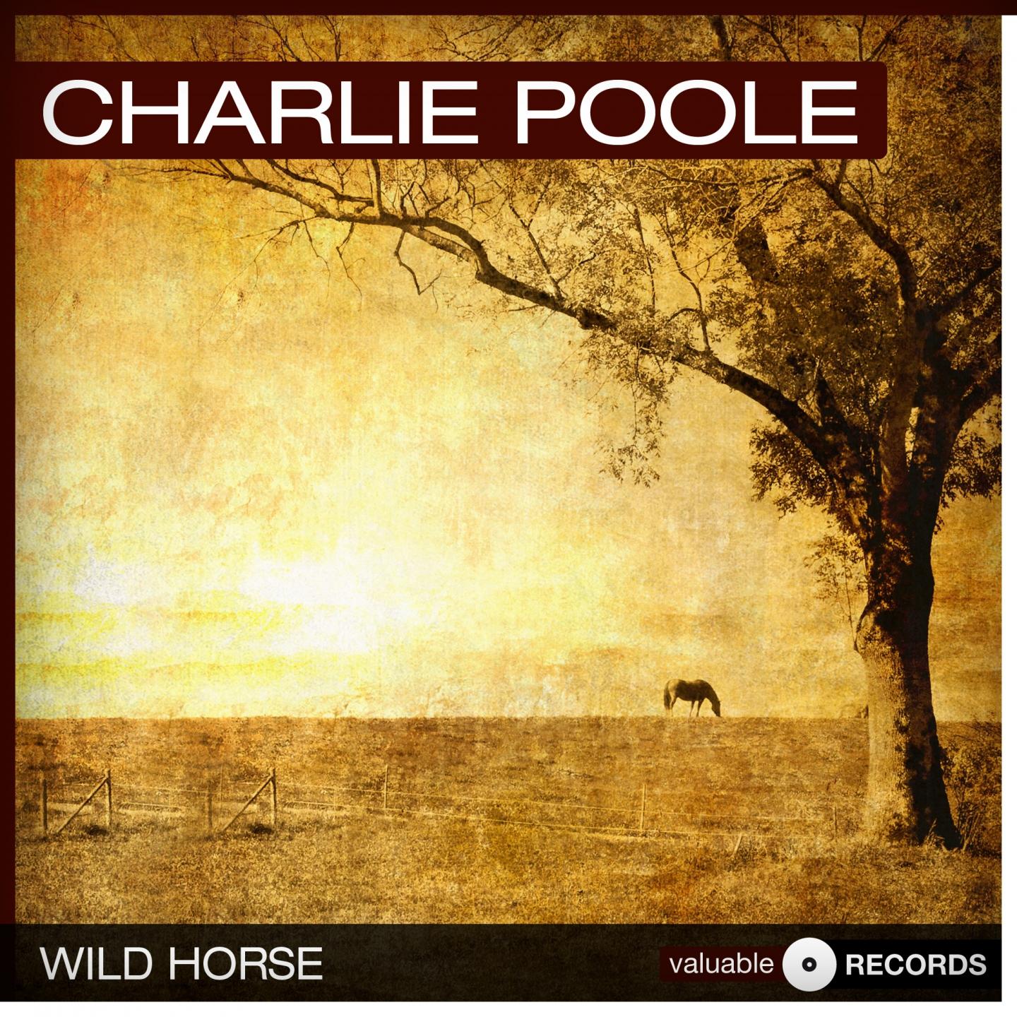 Постер альбома Wild Horse