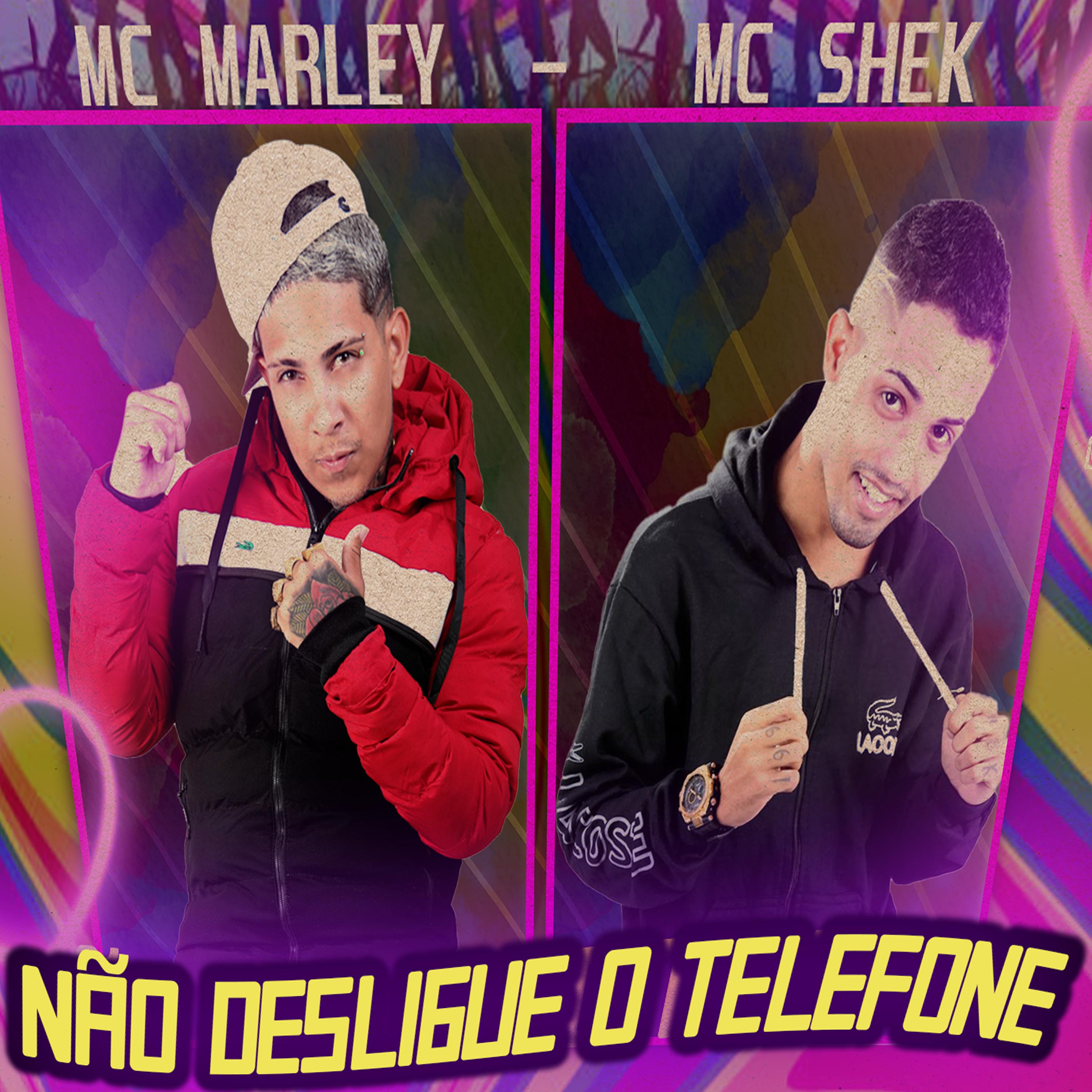 Постер альбома Não Desligue o Telefone
