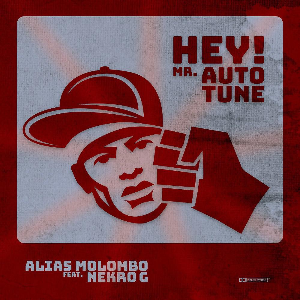 Постер альбома Hey! Mr. Autotune