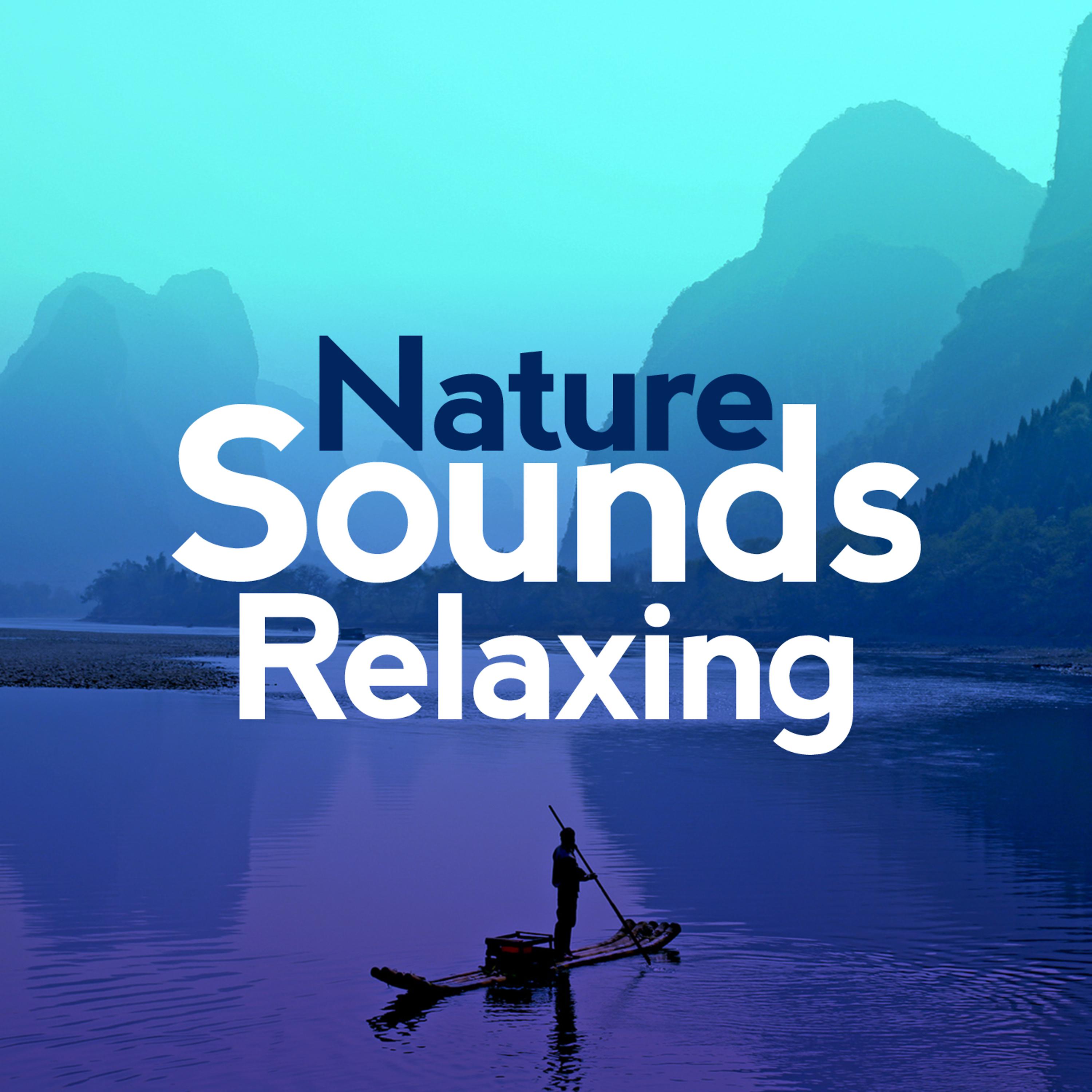 Постер альбома Nature Sounds Relaxing
