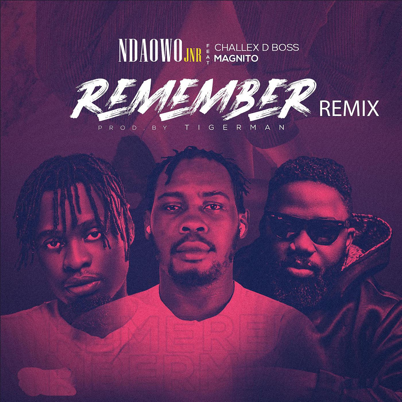 Постер альбома Remember (Remix)