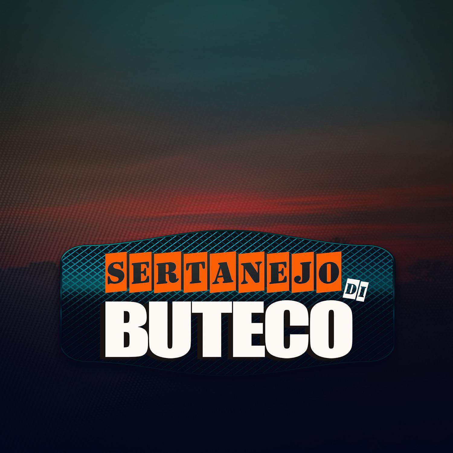 Постер альбома Sertanejo Di Buteco