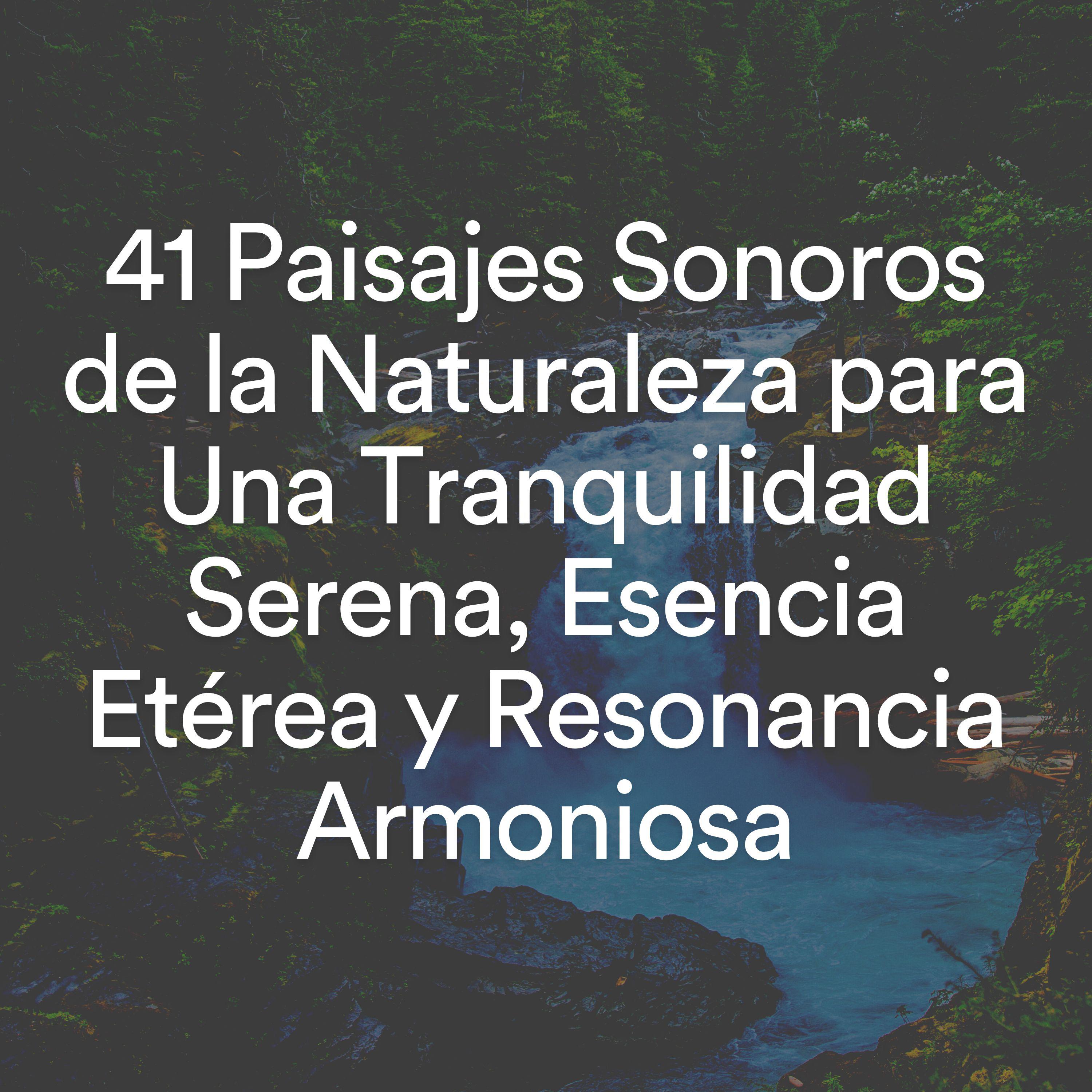 Постер альбома 41 Paisajes Sonoros de la Naturaleza para Una Tranquilidad Serena, Esencia Etérea y Resonancia Armoniosa
