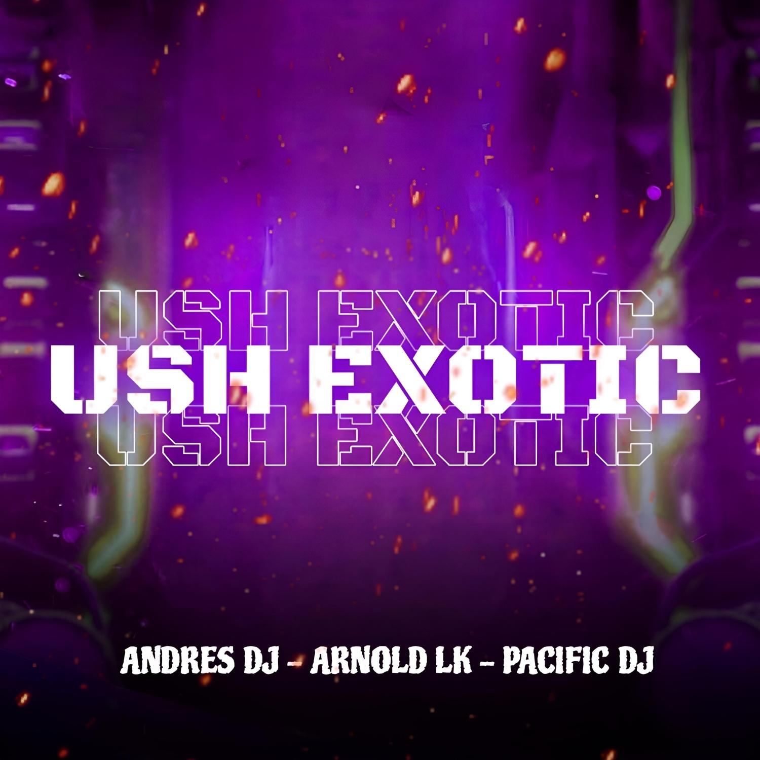 Постер альбома Ush Exotic (feat. Pacific Dj , Arnold Lk)
