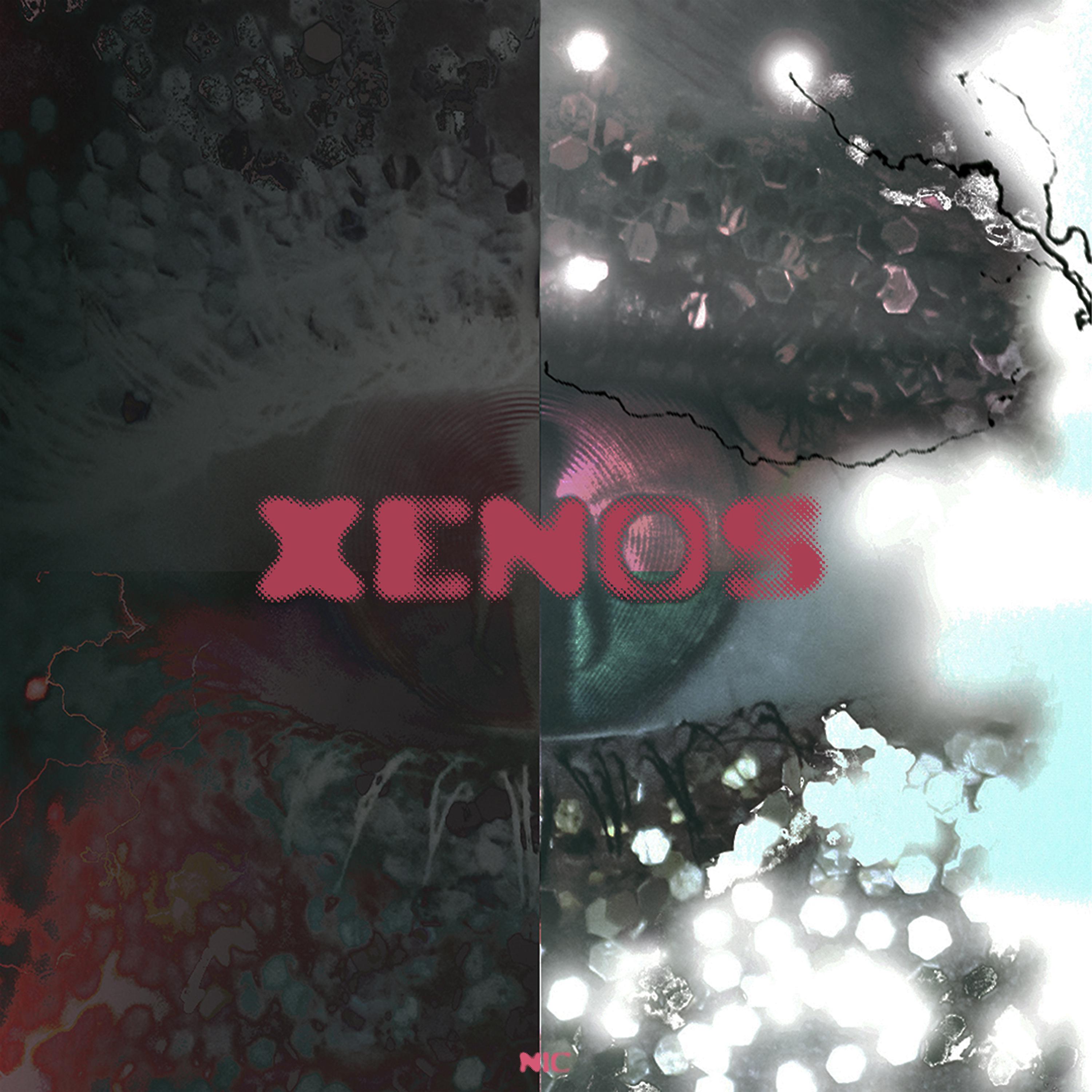 Постер альбома XENOS