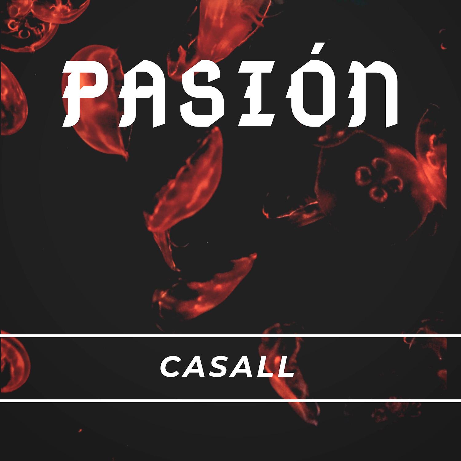 Постер альбома Pasion