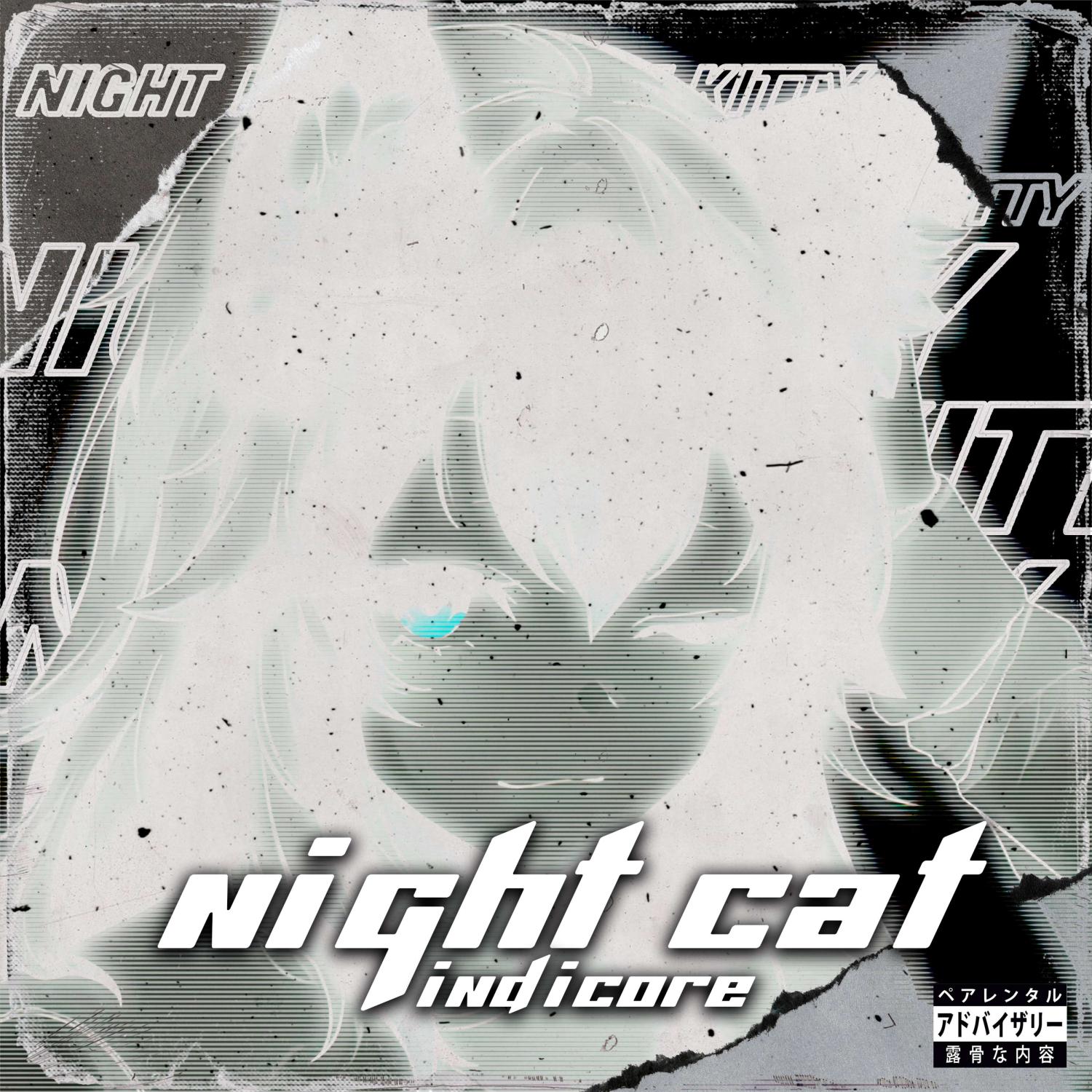 Постер альбома Night cat