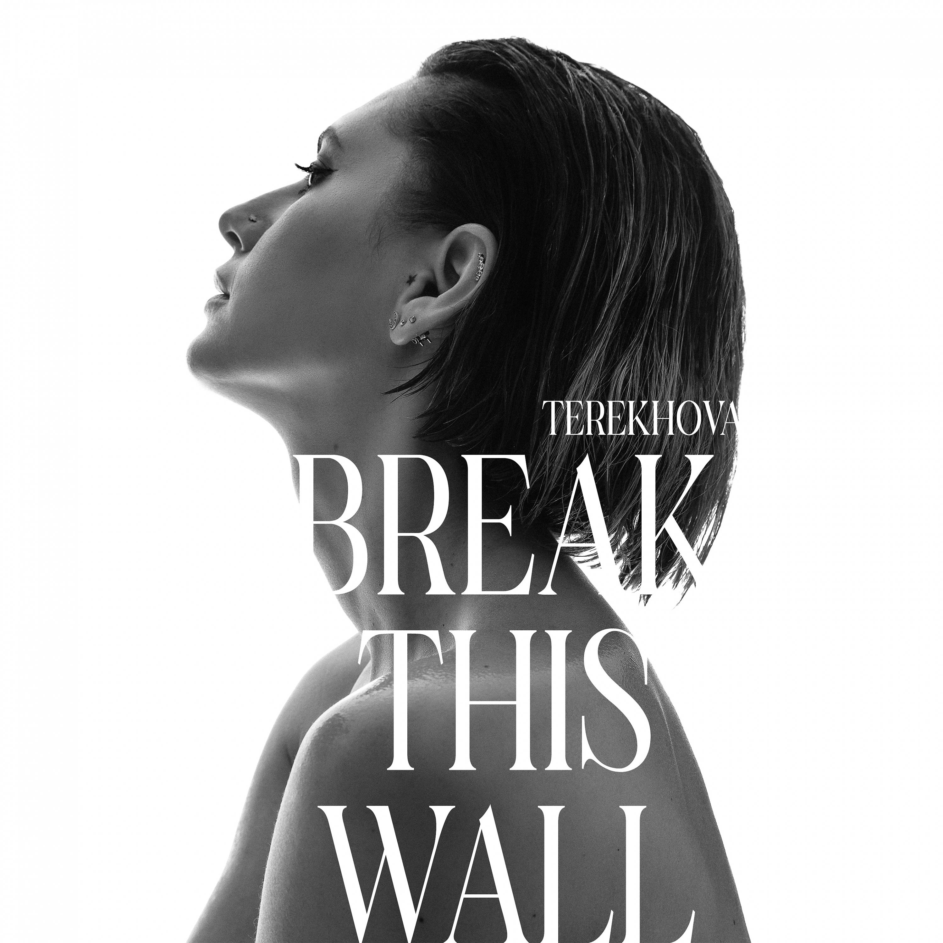 Постер альбома Break This Wall