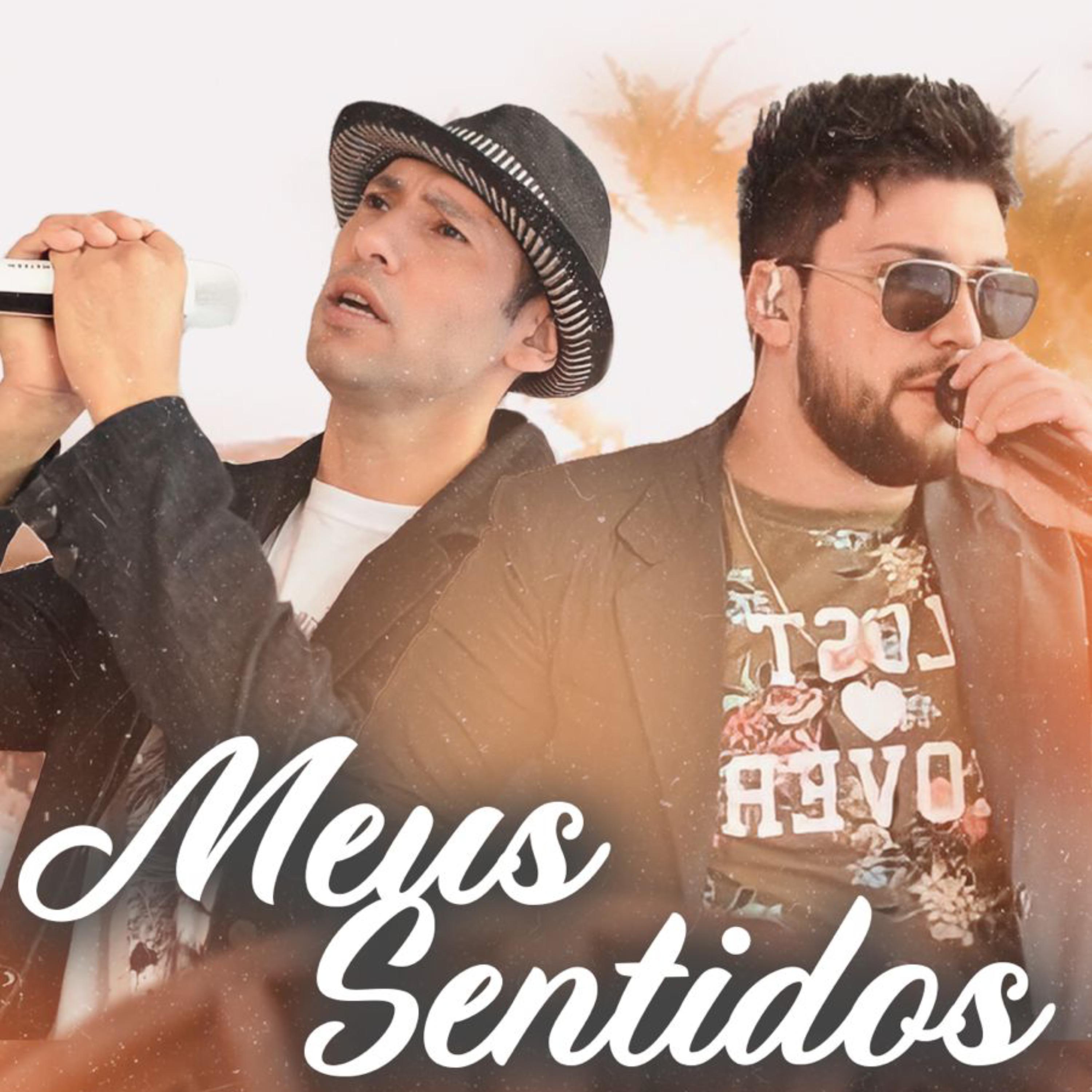 Постер альбома Meus Sentidos
