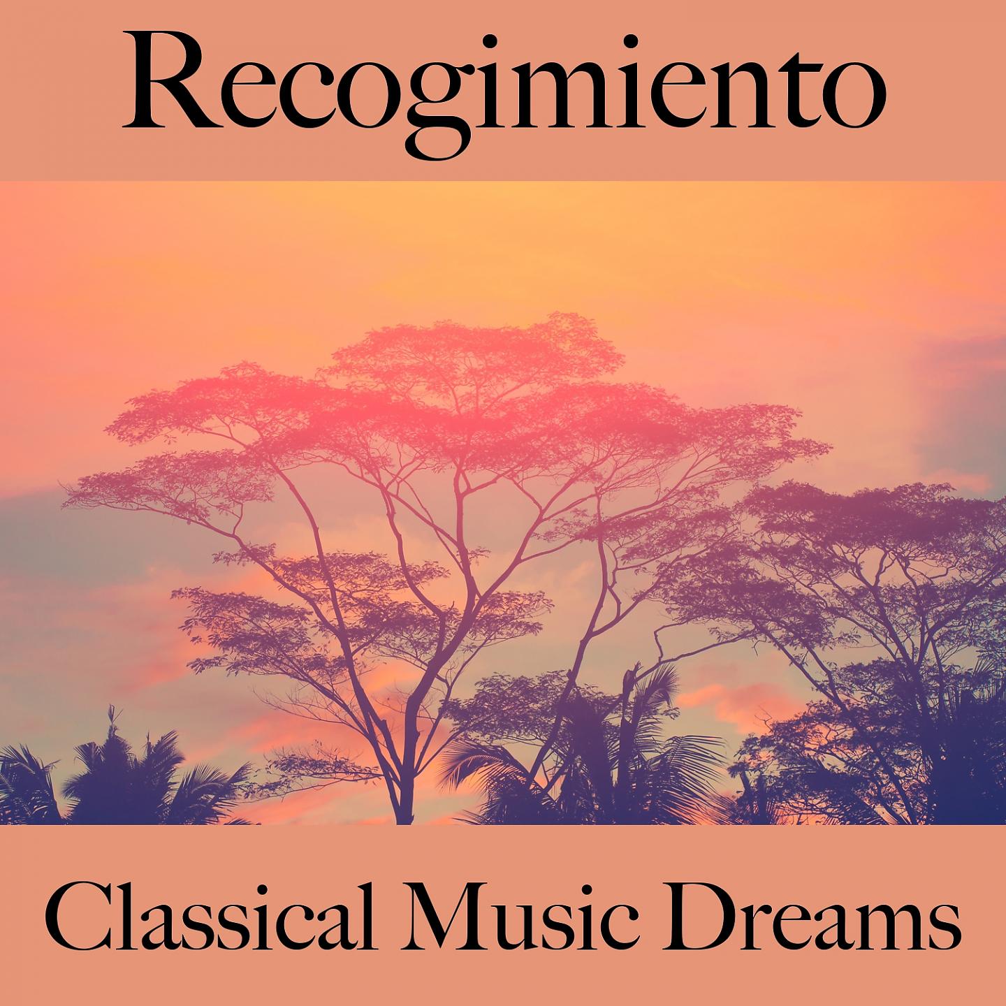 Постер альбома Recogimiento: Classical Music Dreams - La Mejor Música Para Relajarse