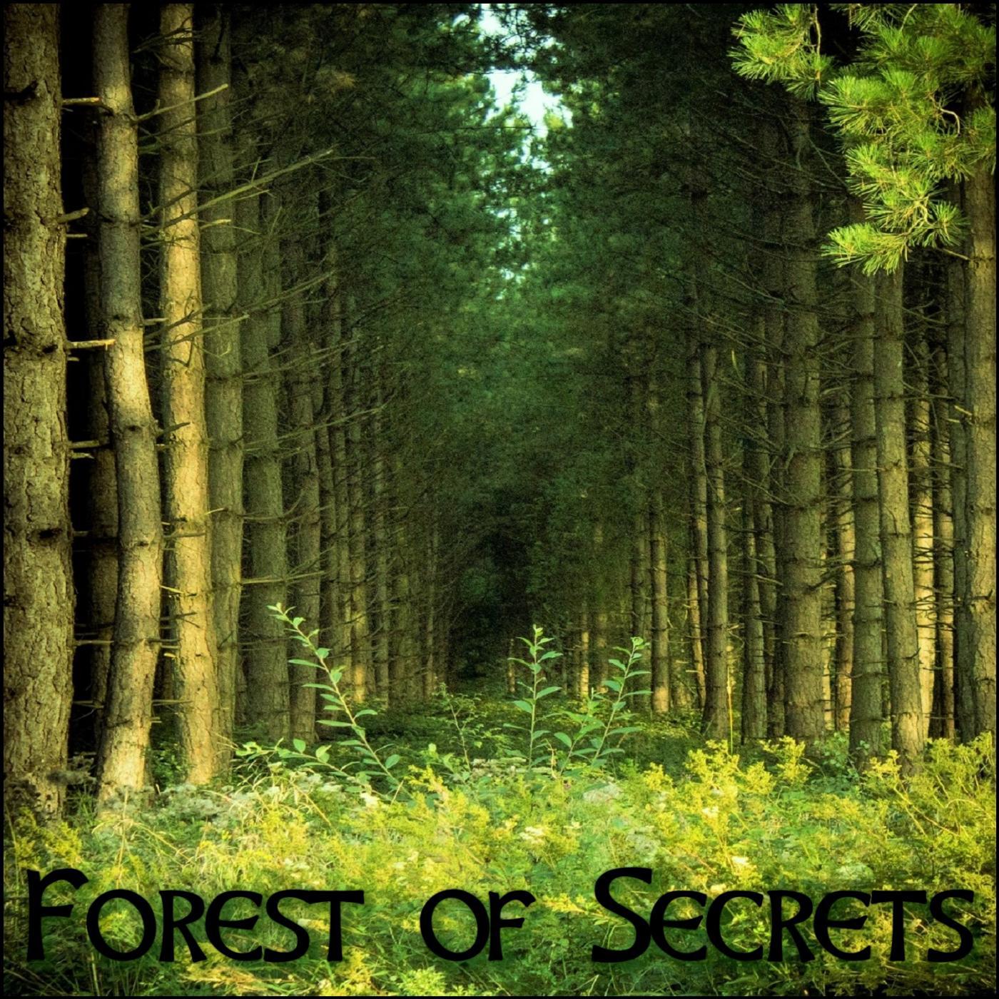 Постер альбома Forest of Secrets