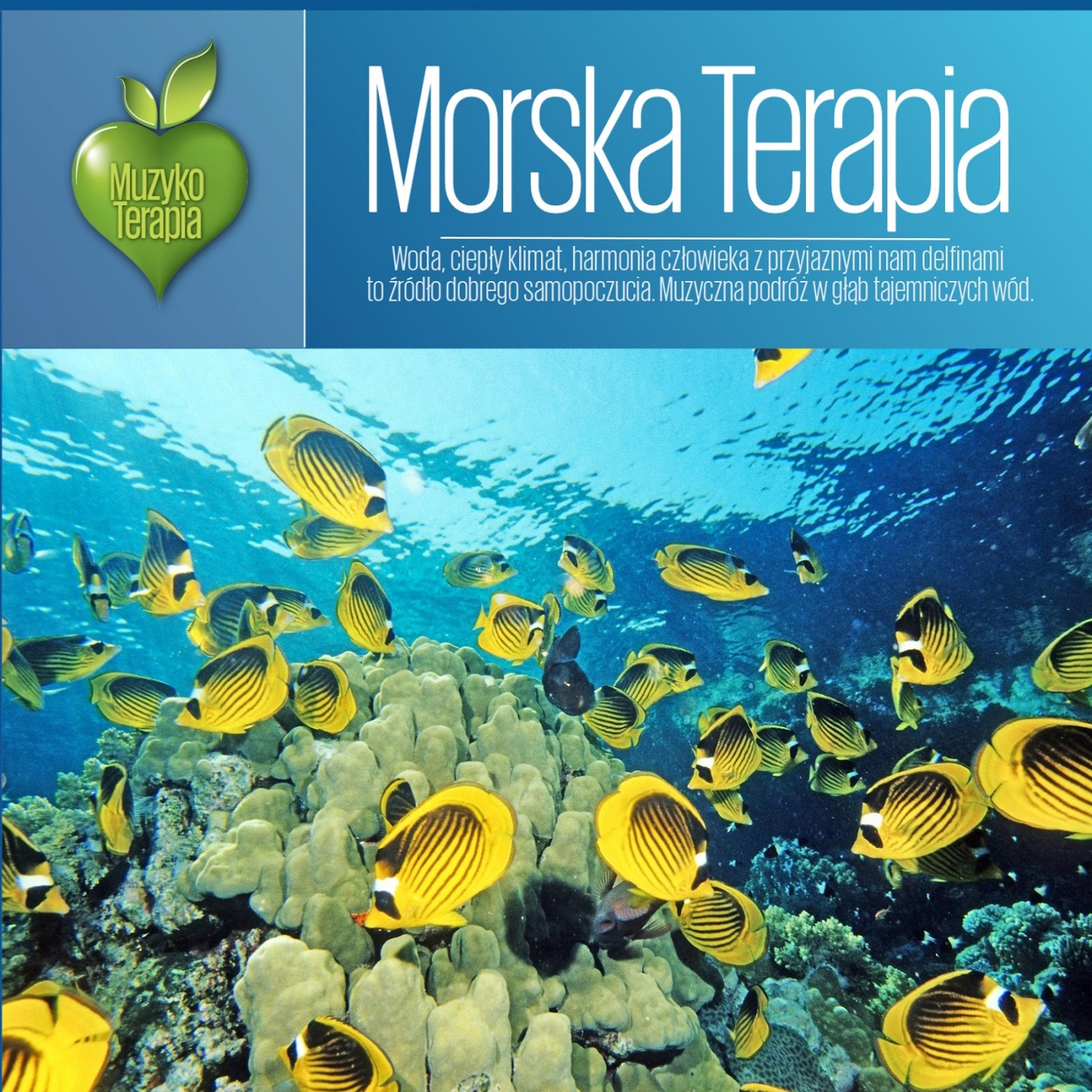 Постер альбома Morska Terapia. MusicTherapy - Marine Therapy