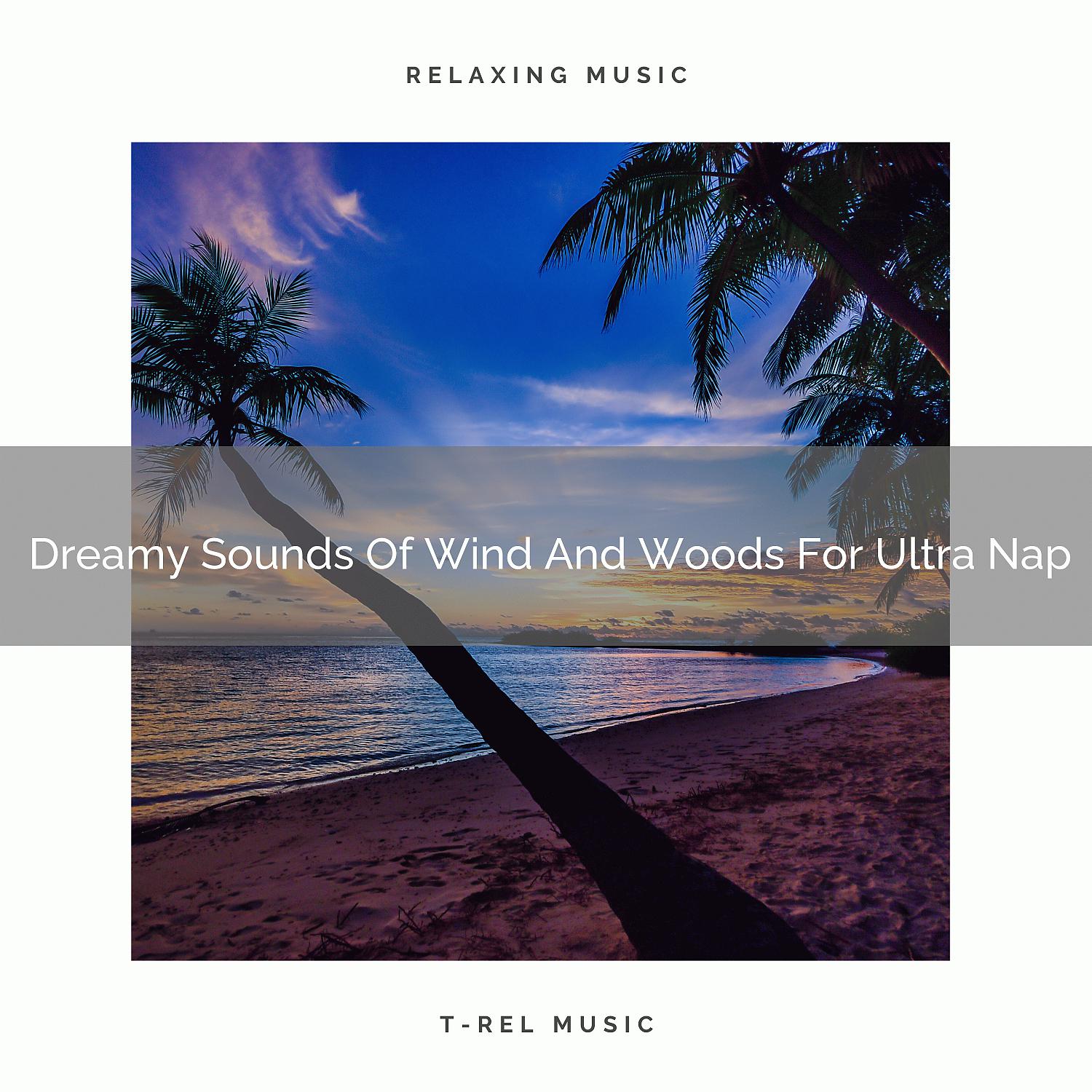 Постер альбома Dreamy Sounds Of Wind And Woods For Ultra Nap