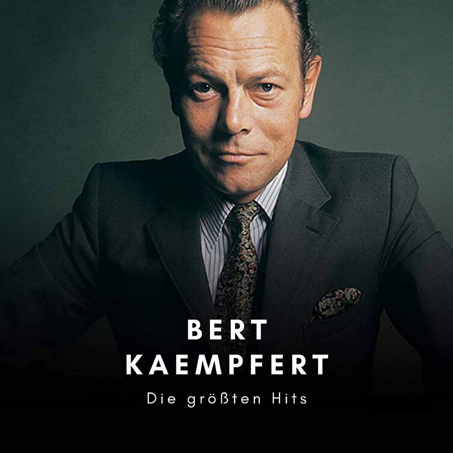 Постер альбома Die Größten Hits