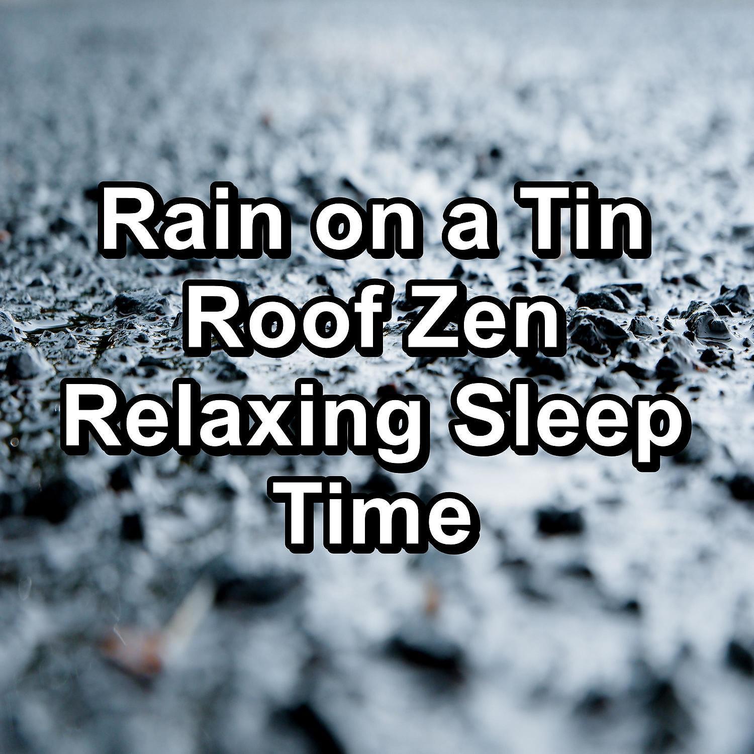 Постер альбома Rain on a Tin Roof Zen Relaxing Sleep Time