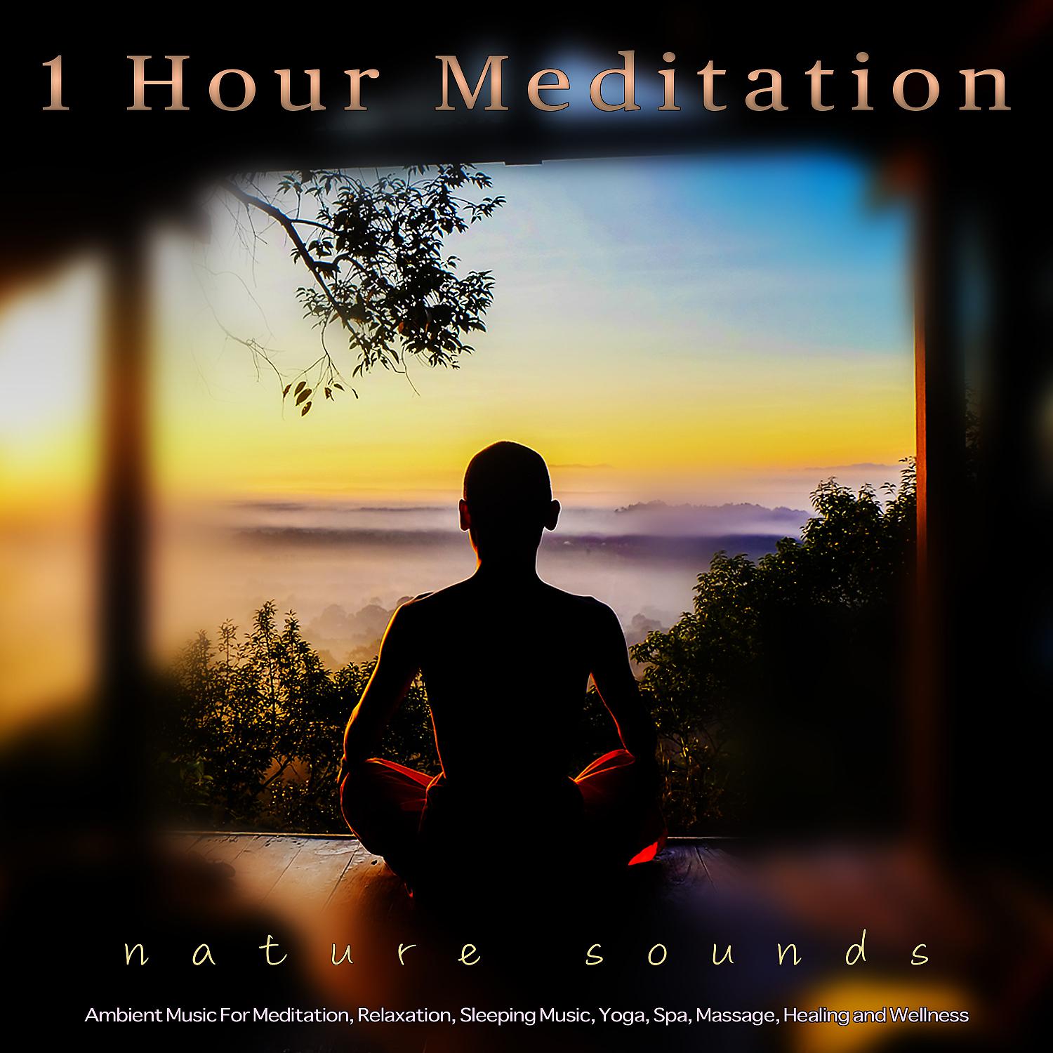 Постер альбома 1 Hour Meditation: Ambient Music and Bird Sounds For Meditation, Relaxation, Sleeping Music, Yoga, Spa, Massage, Healing and Wellness