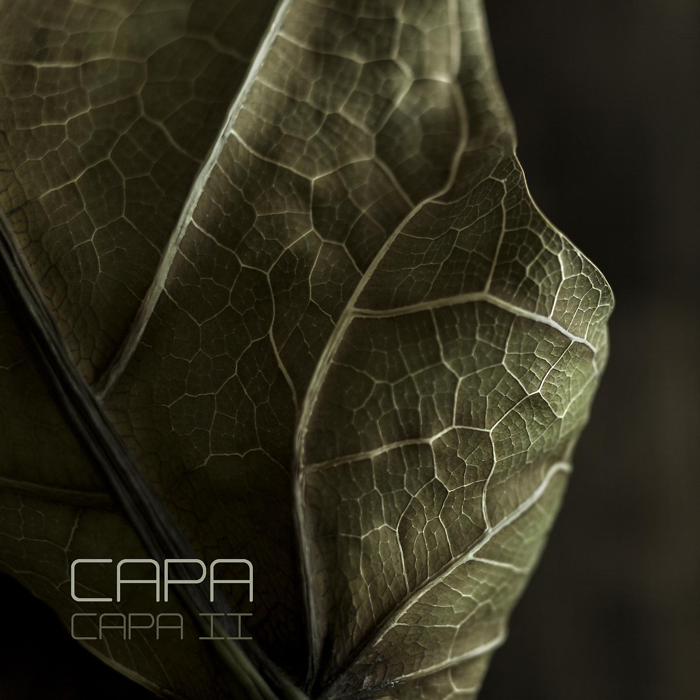 Постер альбома Capa II