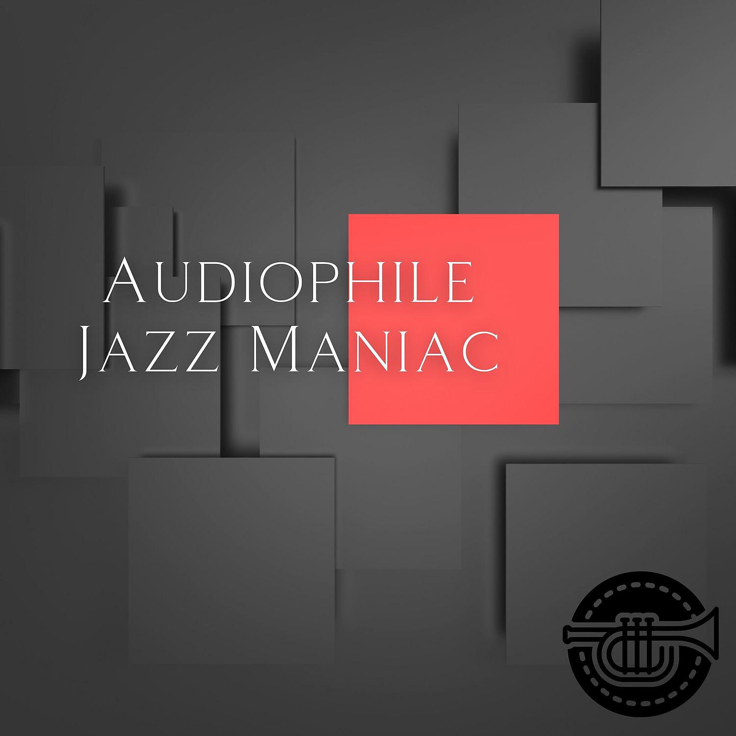 Постер альбома Audiophile Jazz Maniac #4