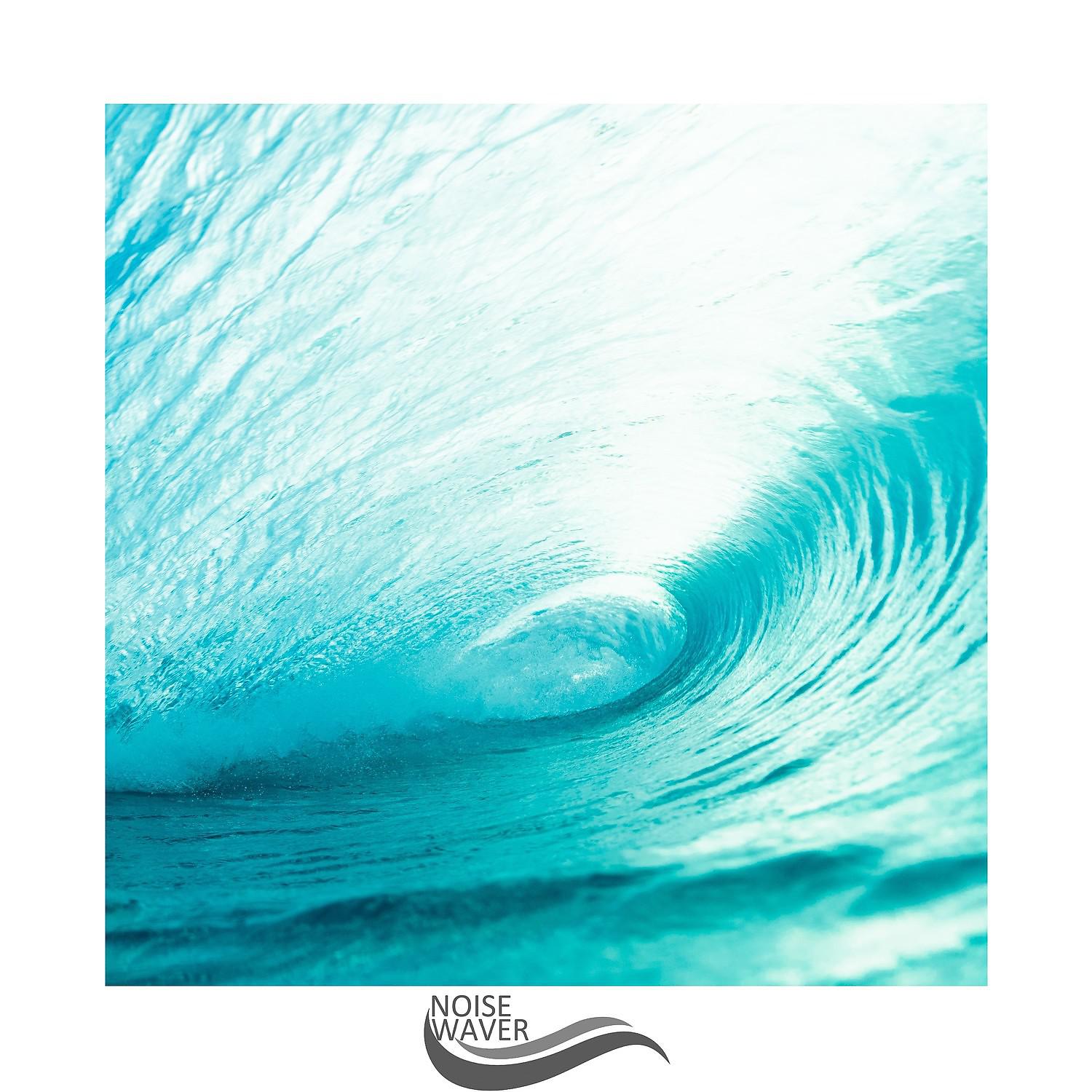 Постер альбома Waves Sough Noise