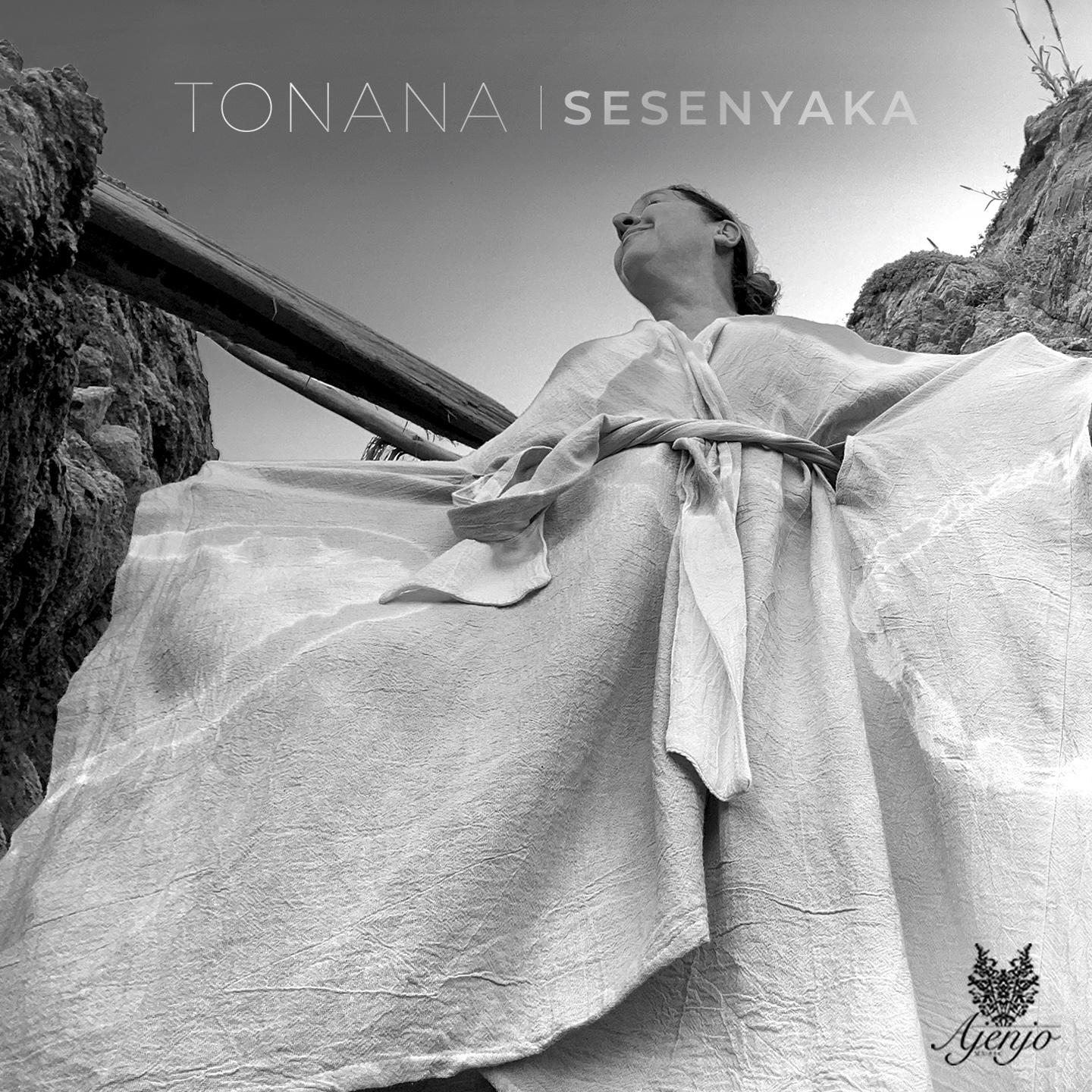 Постер альбома Sesenyaka