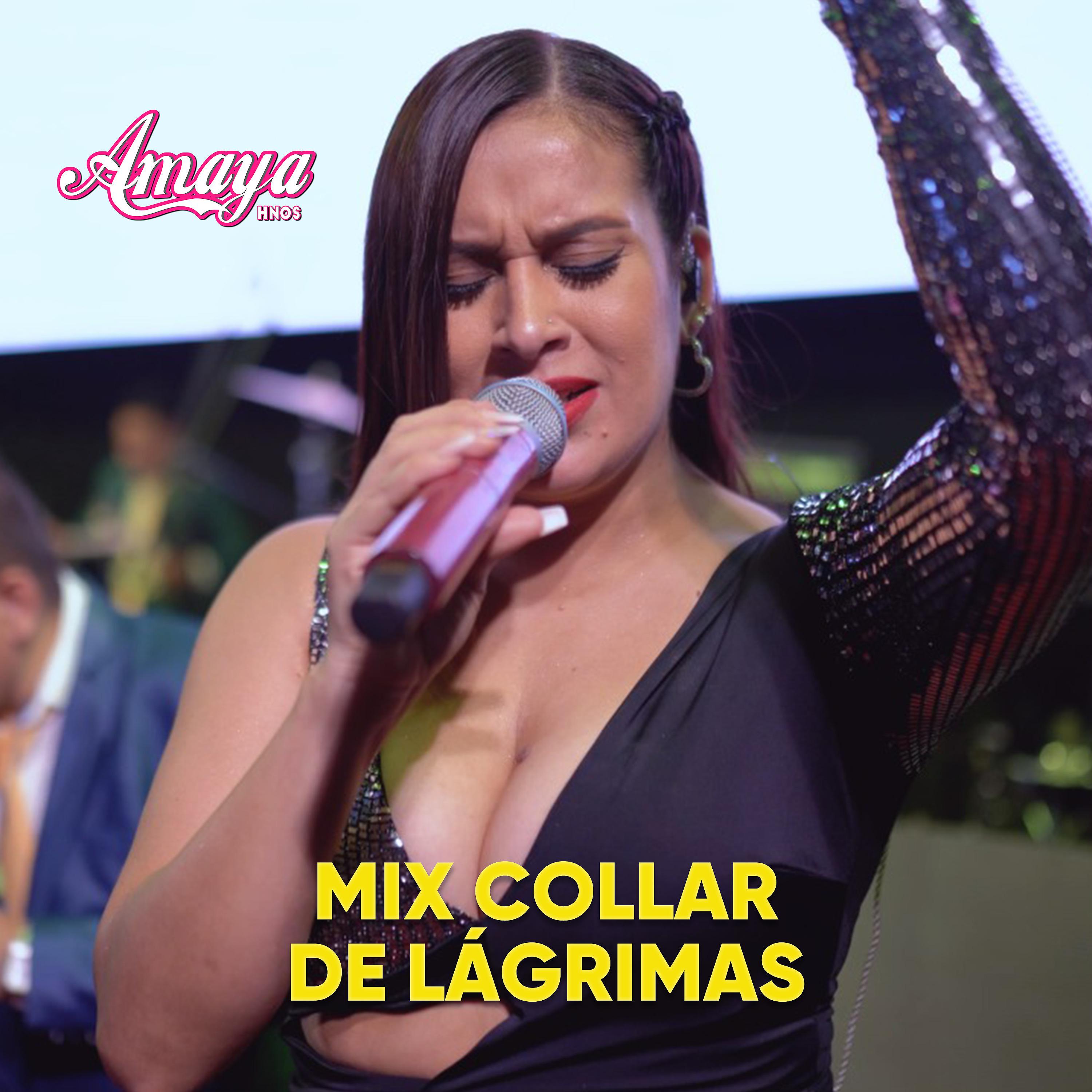 Постер альбома Mix Collar De Lágrimas (Collar De Lágrimas/ Tu Fuiste Mi Gran Amor)