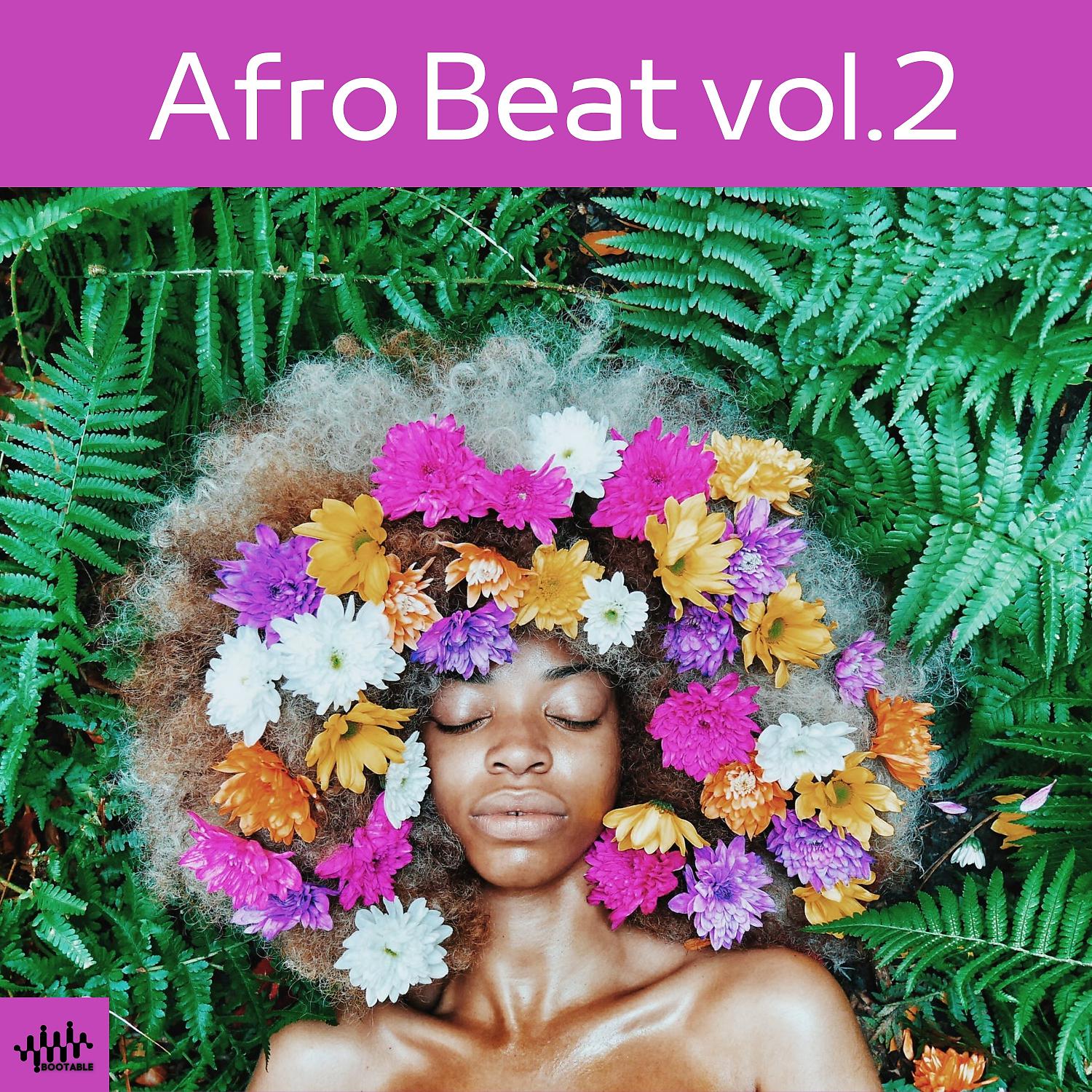 Постер альбома Afro Beat, Vol. 2