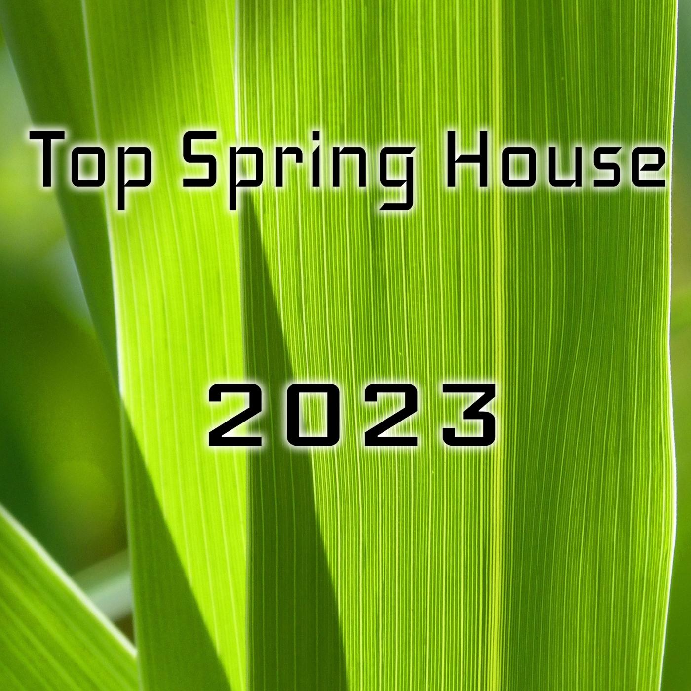 Постер альбома Top Spring House 2023