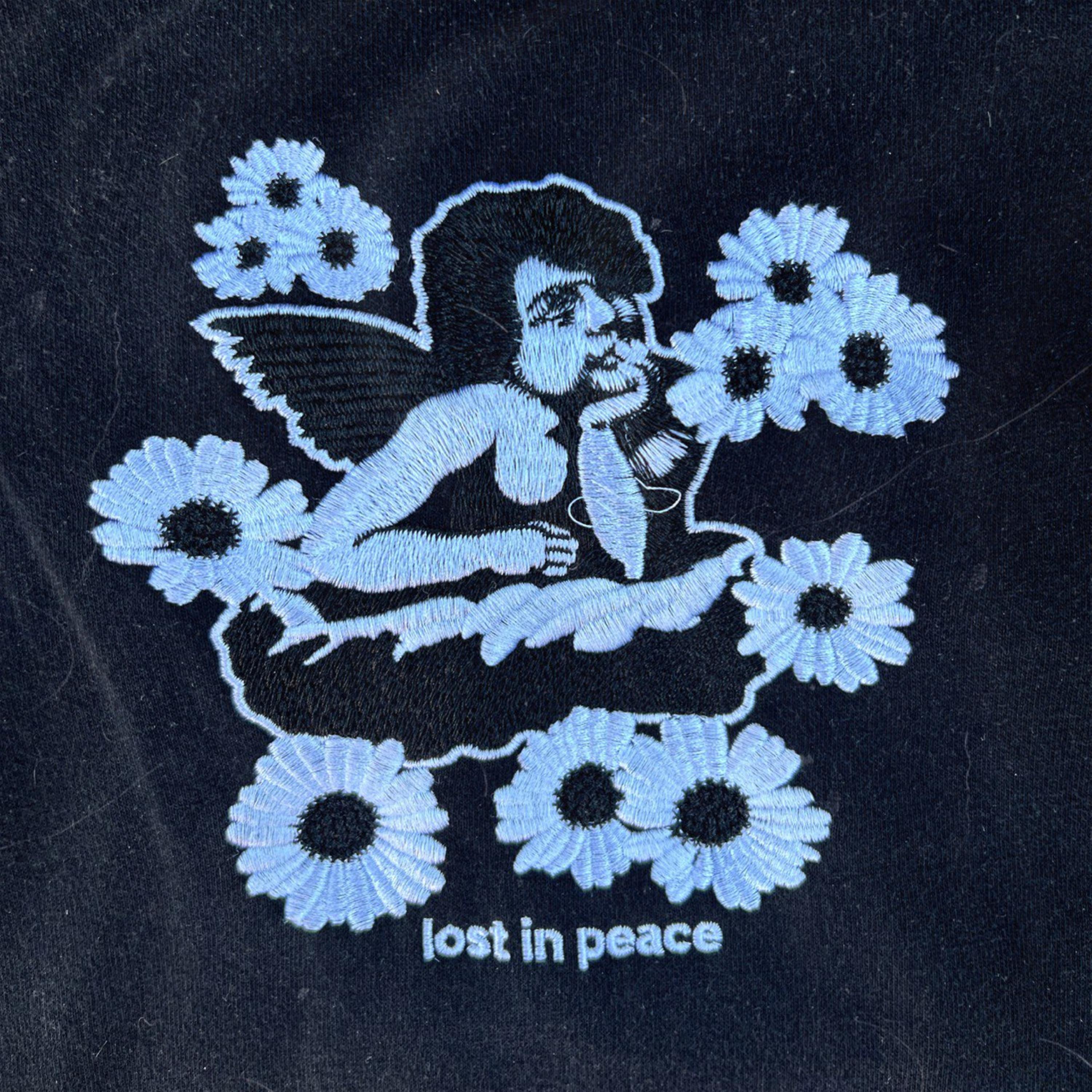 Постер альбома lost in peace