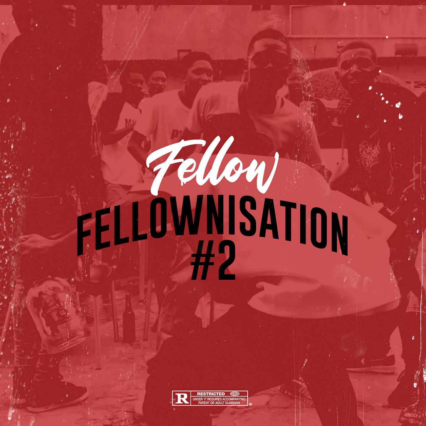 Постер альбома Fellownisation#2