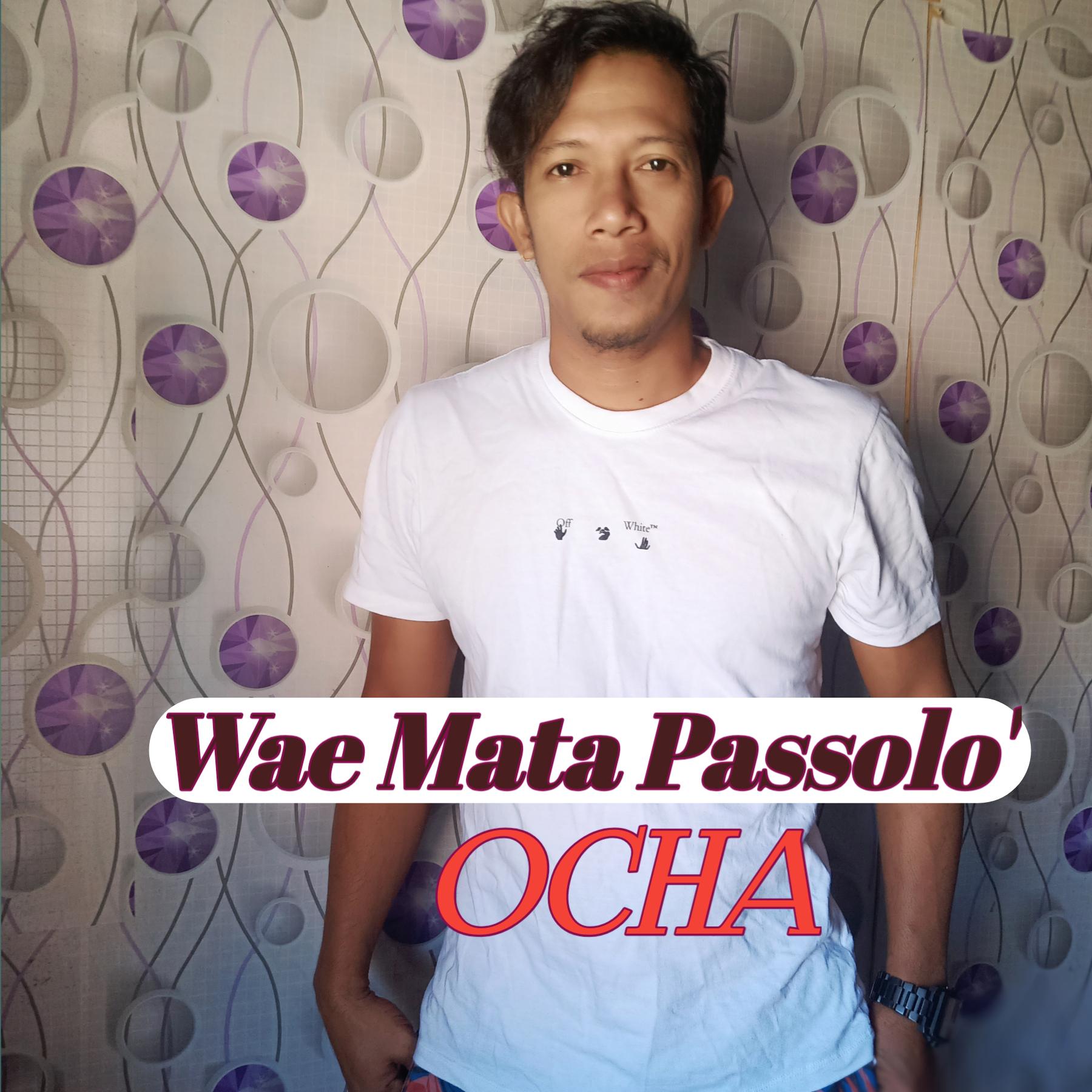 Постер альбома Wae Mata Passolo