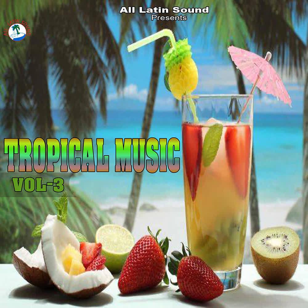 Постер альбома Tropical Music (Vol 3)