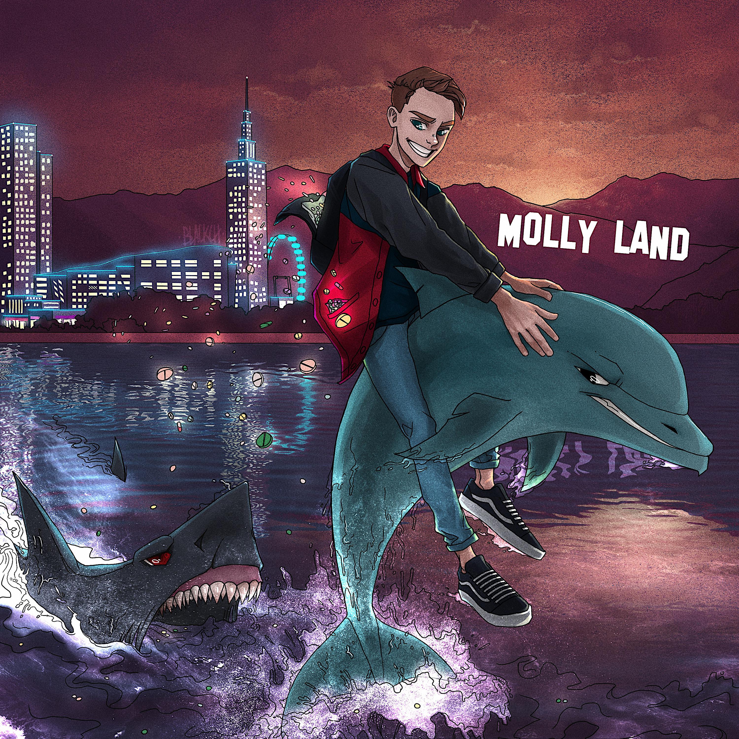 Постер альбома Molly Land