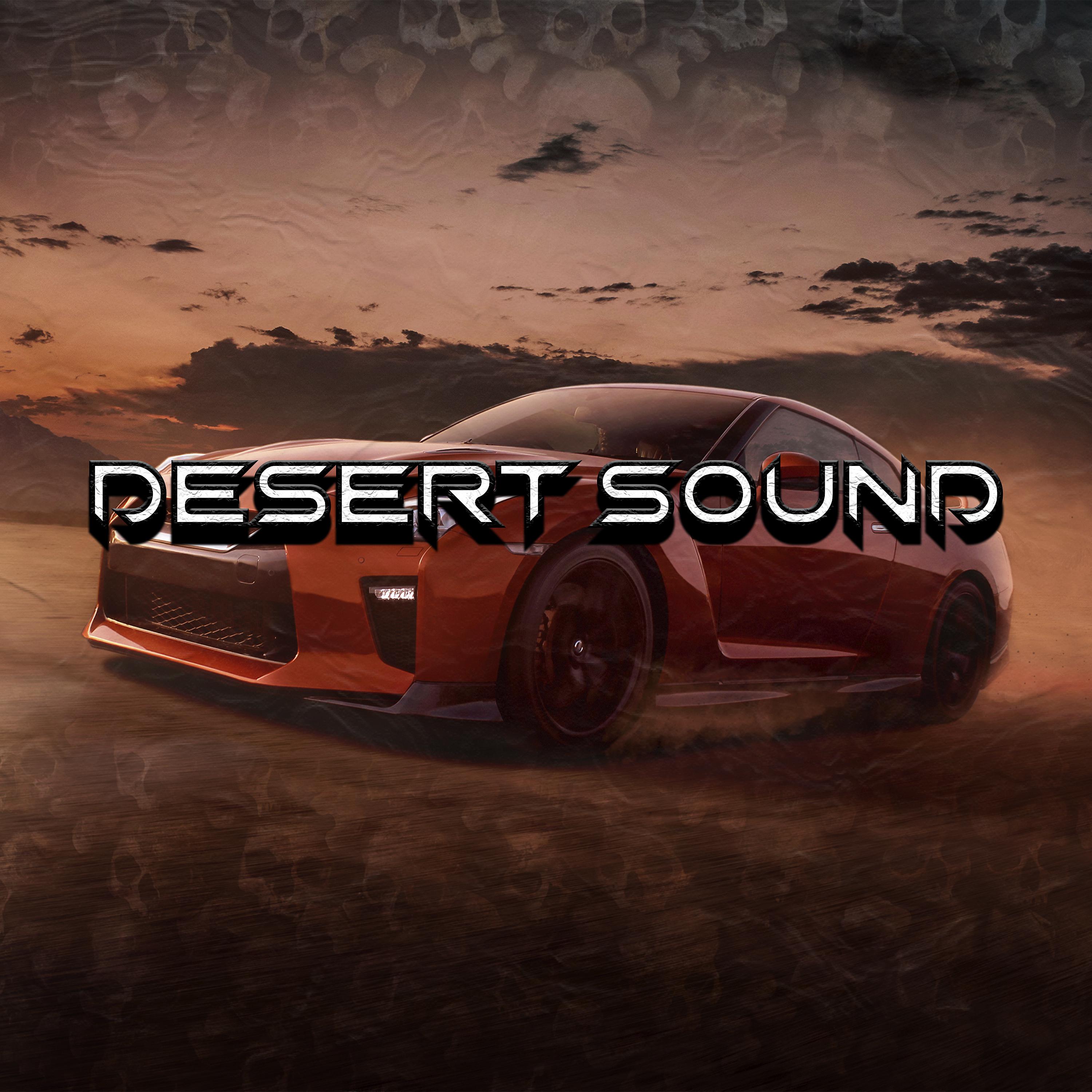 Постер альбома Desert Sound