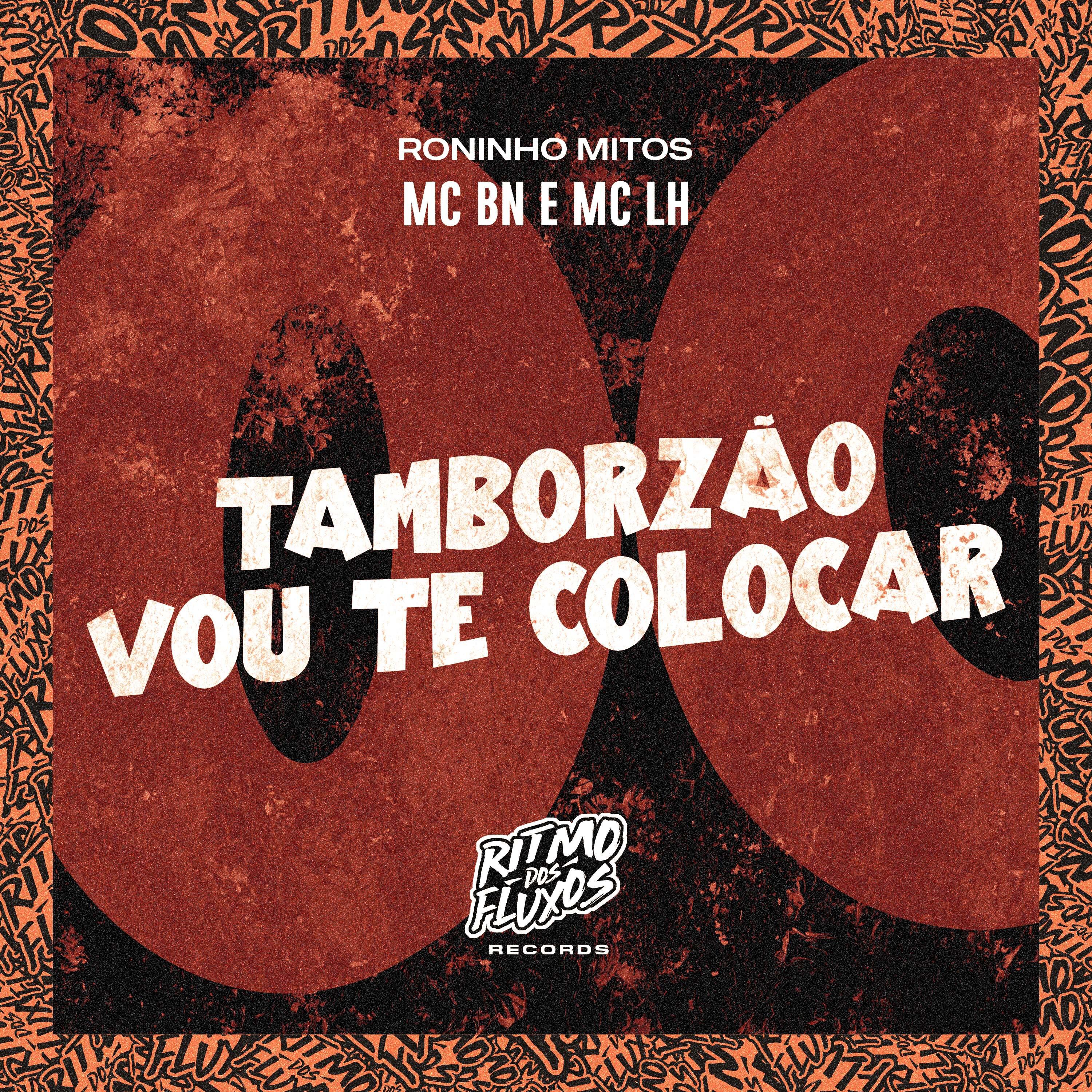 Постер альбома Tamborzão Vou Te Colocar